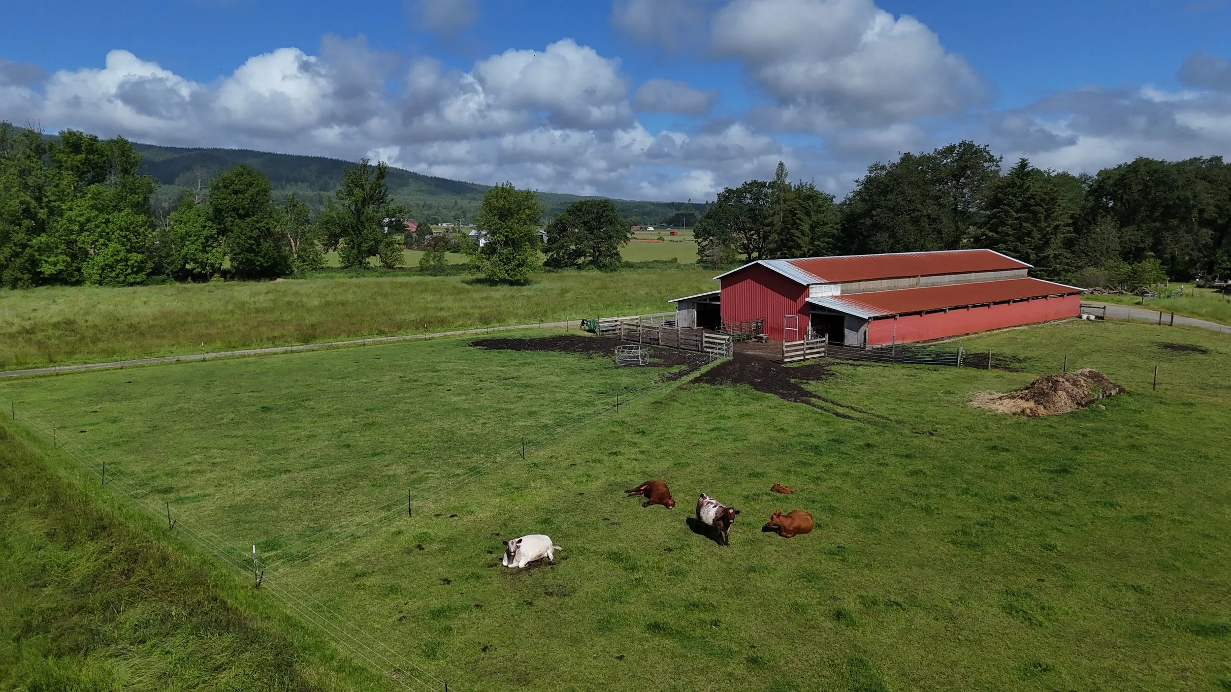 dji_fly_20240605_094146_0014_1717705508927_aeb 2.JPG