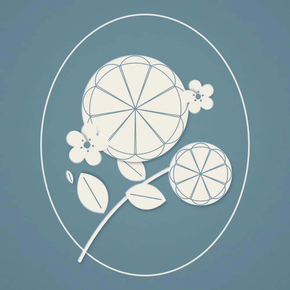 Organic Peel add-on for facials at Scheal Organics spa, Franklin TN, cut-paper botanical illustration