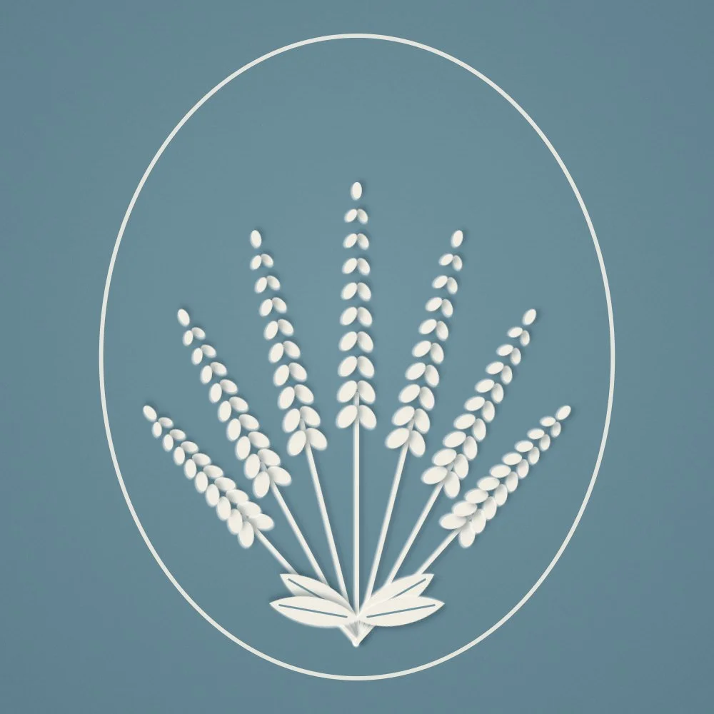 The Intuitive Facial, organic facial tailored to your skin in the moment at Scheal Organics spa, Franklin TN, cut-paper botanical illustration