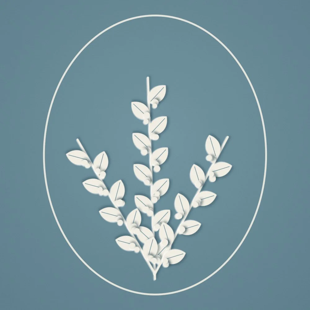 Take-Home Blend add-on, a fresh skincare blend compounded for you to take home at Scheal Organics spa, Franklin TN, cut-paper botanical illustration