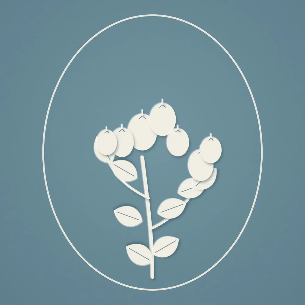 Hand and Arm Treatment add-on at Scheal Organics spa, Franklin TN, cut-paper botanical illustration