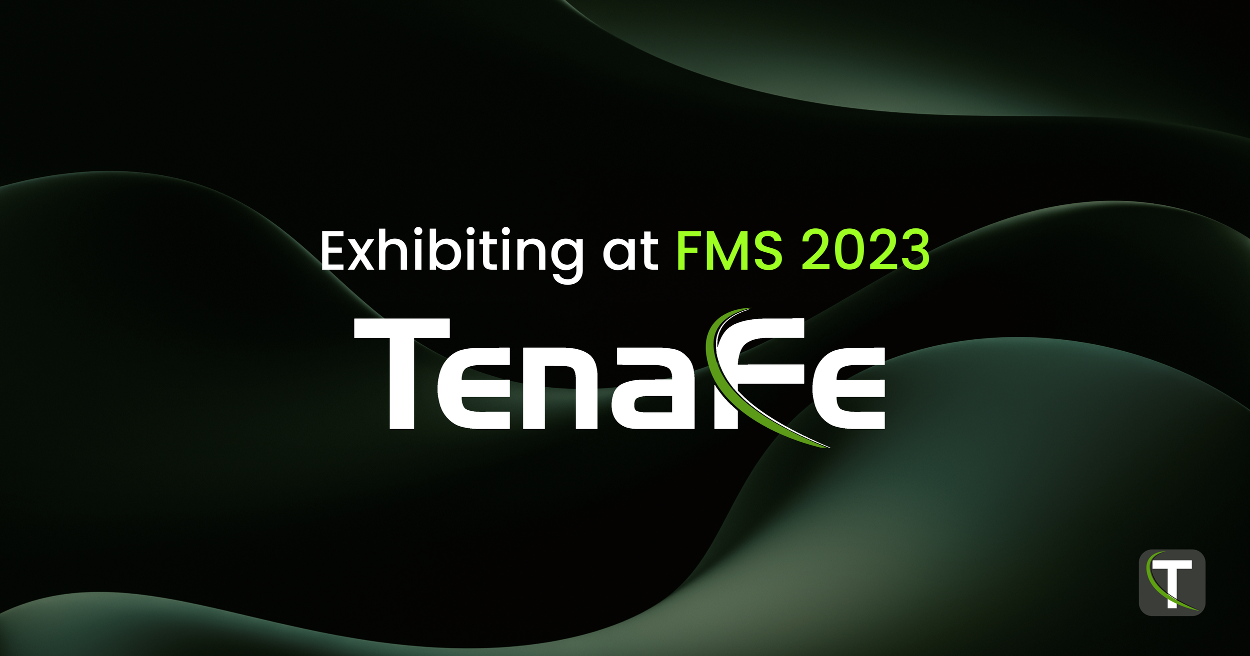 Cutting-Edge Storage Solutions and Development Platforms: TenaFe's ...