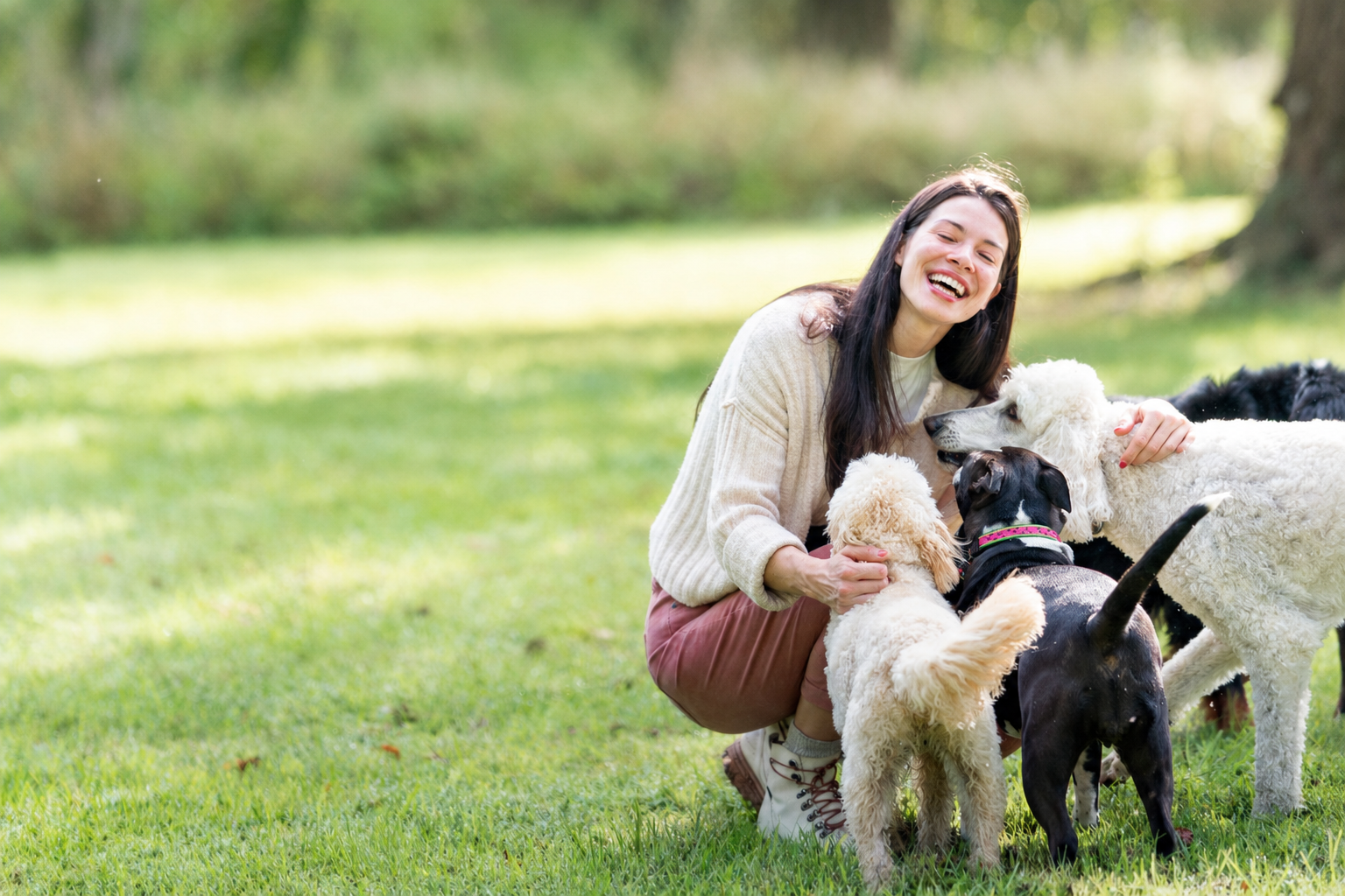 Sleep: Is Your Dog Getting Enough?
