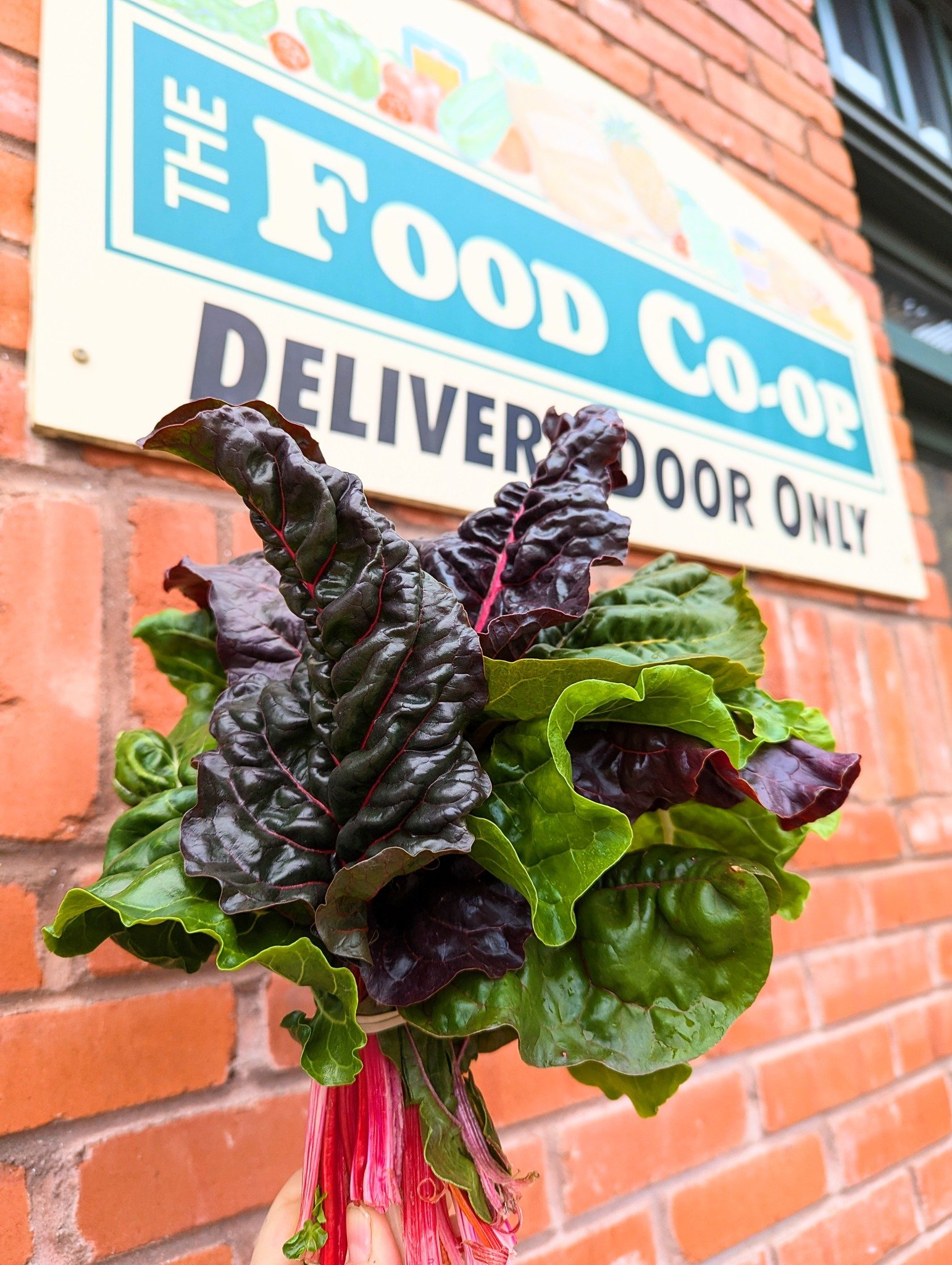 We Can&rsquo;t Get Over How Beautiful This Chard Is! 😍🌿
Grown locally by @wellfedfarmstead, these vibrant, colorful leaves are almost too pretty to eat&hellip; almost. Snag a bunch and add some fresh, local goodness to your plate!

#wellfedfarmstea