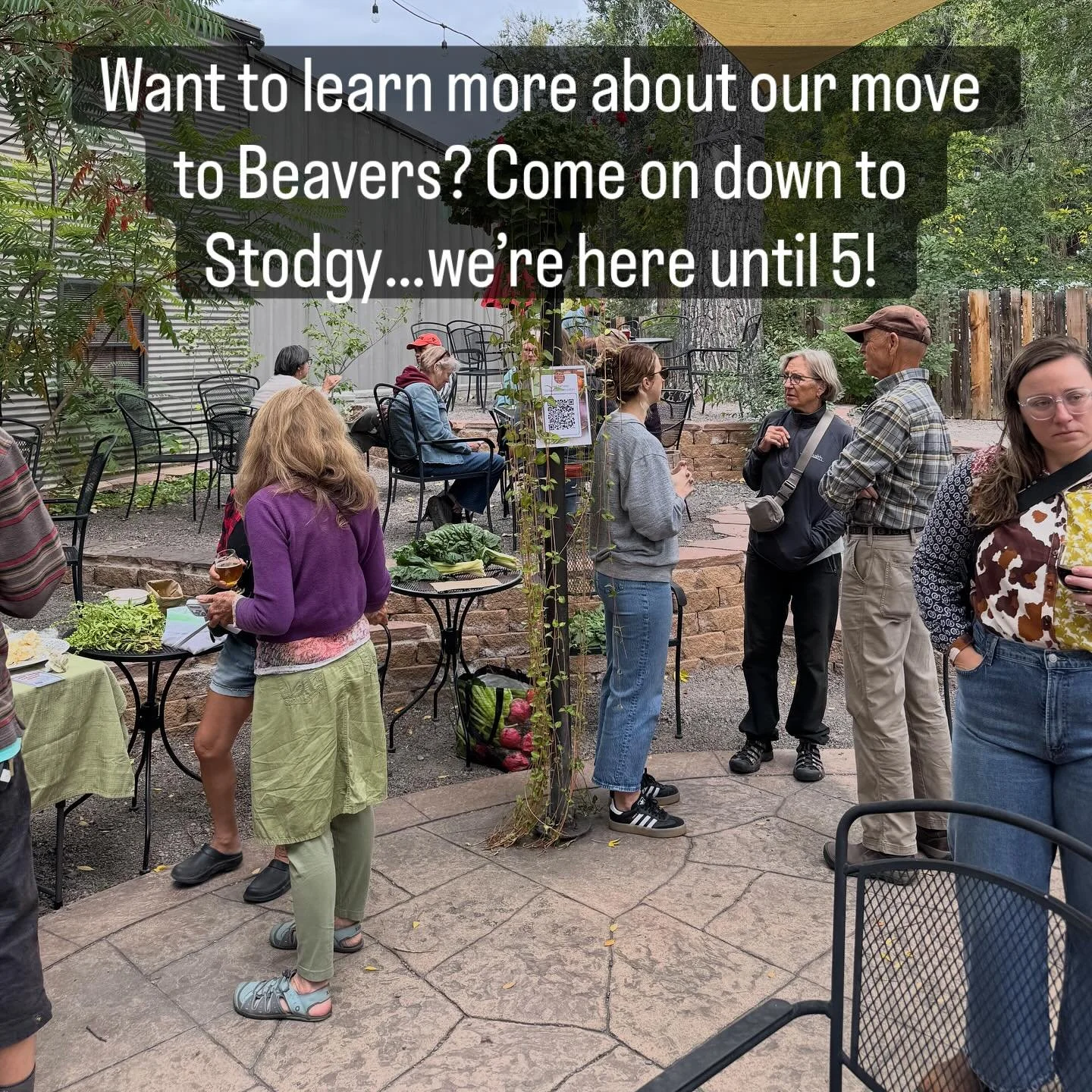 Come chat with us about all things food co-op and our move to Beavers!