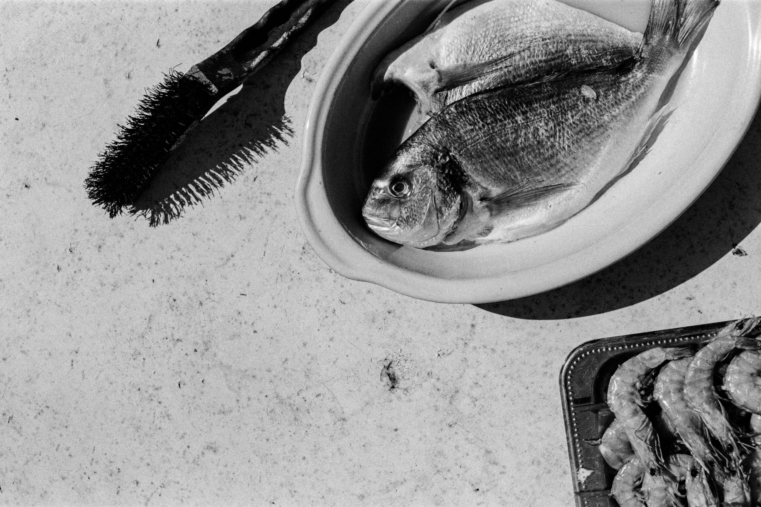 100891440002 copy.jpeg