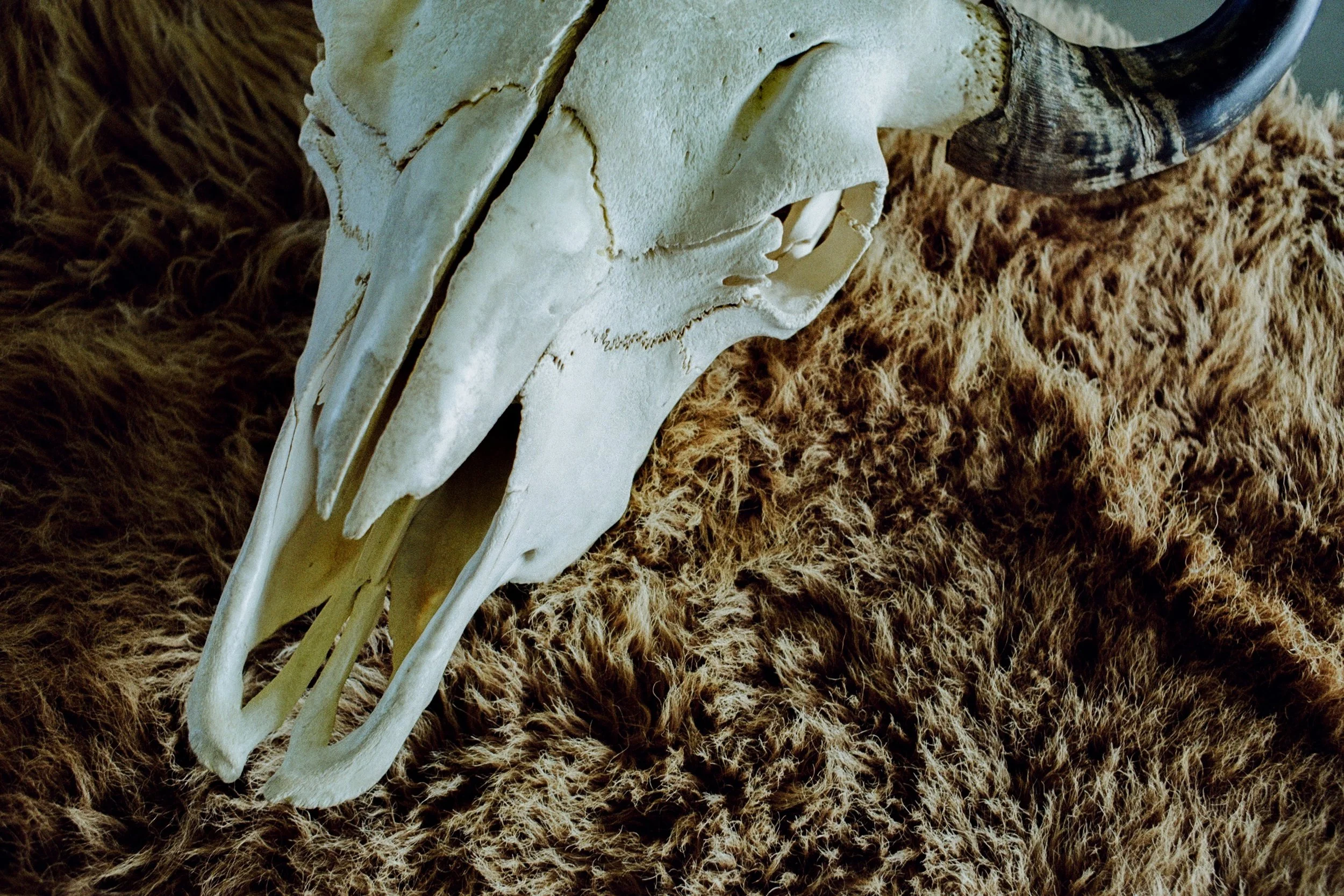 100944870023 copy.jpeg