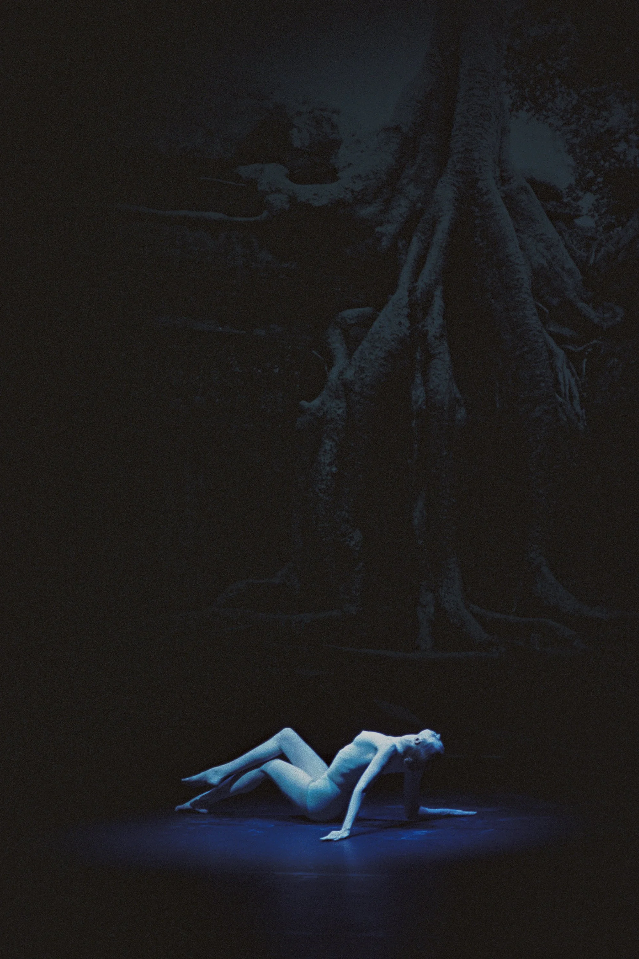 100832220011 copy.jpeg