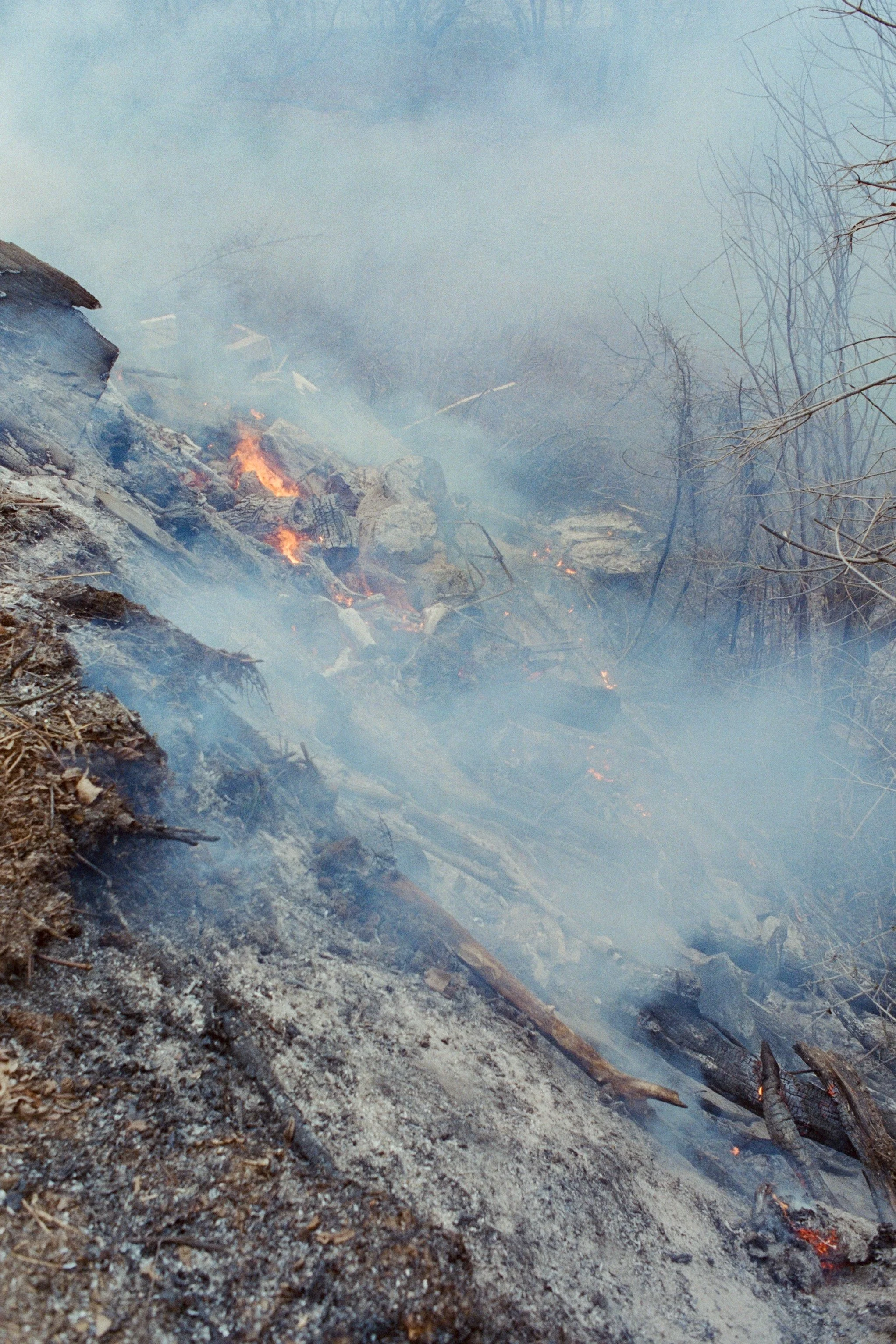 100945010038 copy.jpeg