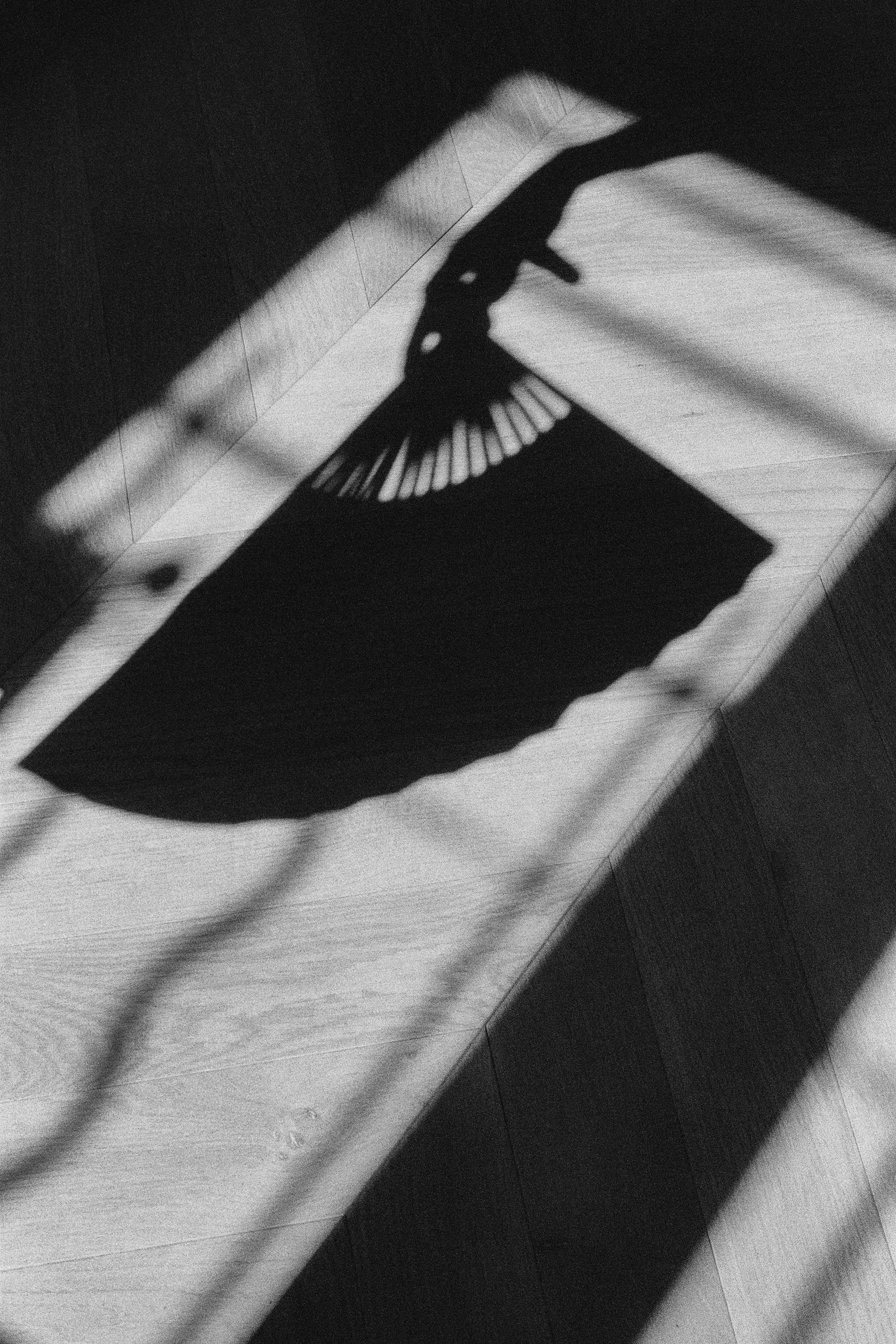 100866840035 copy.jpeg