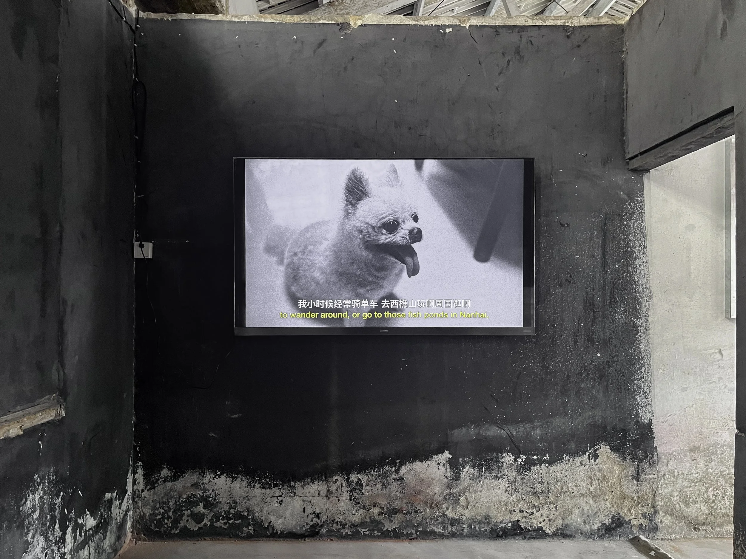 nanhai_artFestival_092026-430.JPG