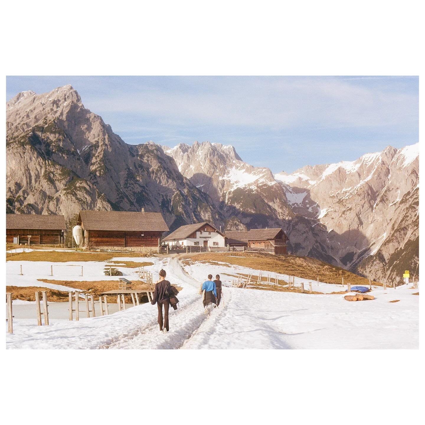 800m elevation hike; so tired but so fun; this was also last day, had a blast of a 5 hr drive back to vienna too
(Kodak gold, 3 is digital)
March 9th, 2025
————————————
Nikon N80