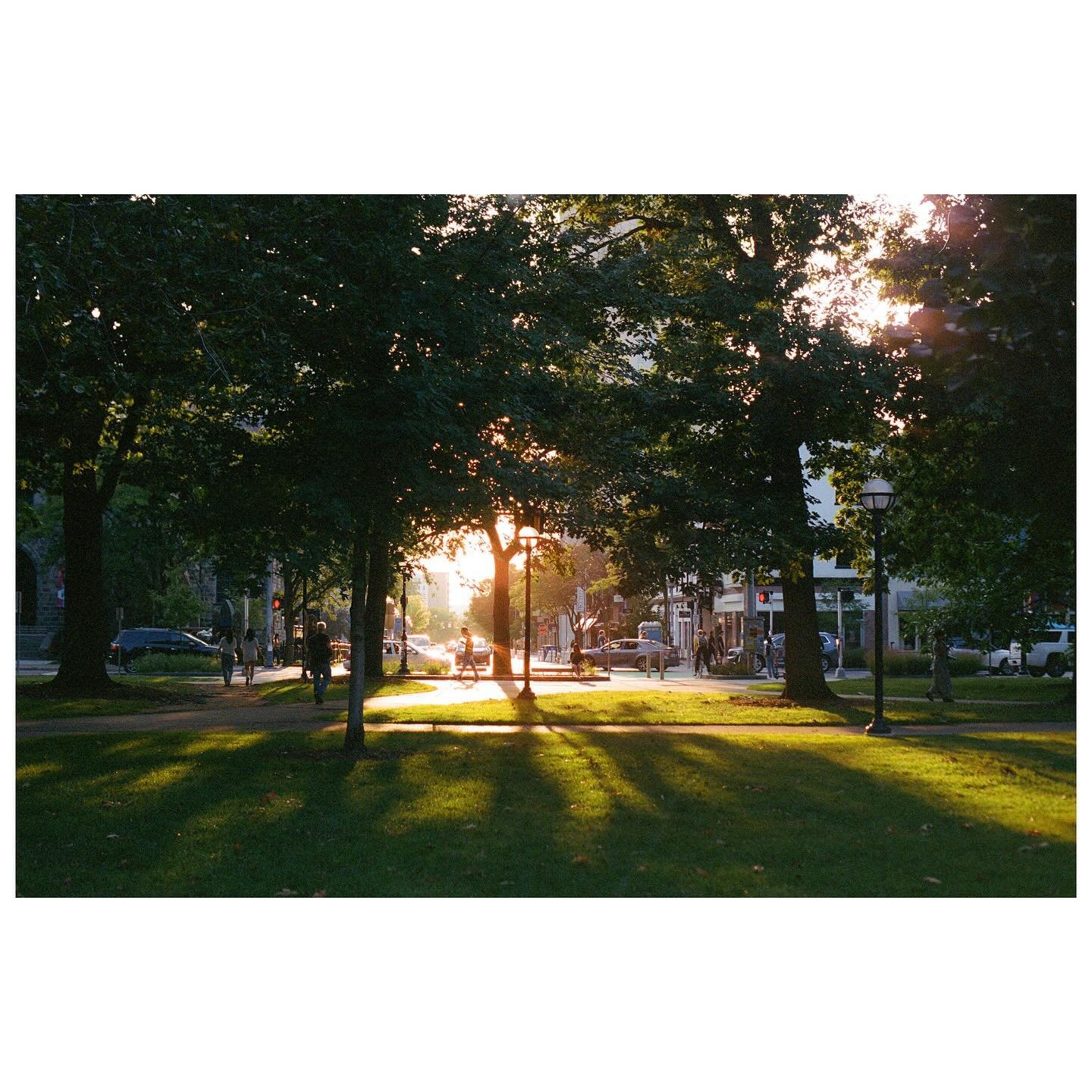 Some film from here and there during school (portra)
Sept-Nov, 2024
————————————
Nikon N80
@nikonusa
#madewithlightroom
#madewithkodak
#nikon #vintagestyle #moments #portra400