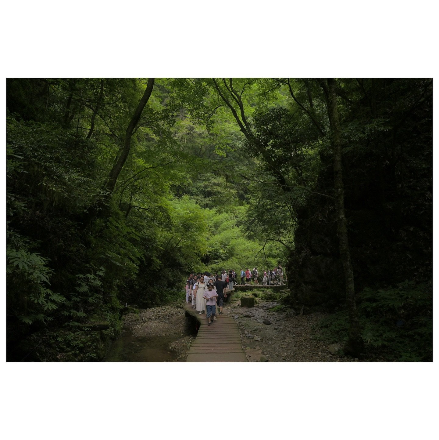 Hike was suuper crowded âšī¸
7/6/24
————————————
Nikon Z6
@nikonusa
#madewithlightroom
#nikon #vintagestyle #natgeo #exploretocreate #uglyshape #nikon #photoeveryday #cinematicph