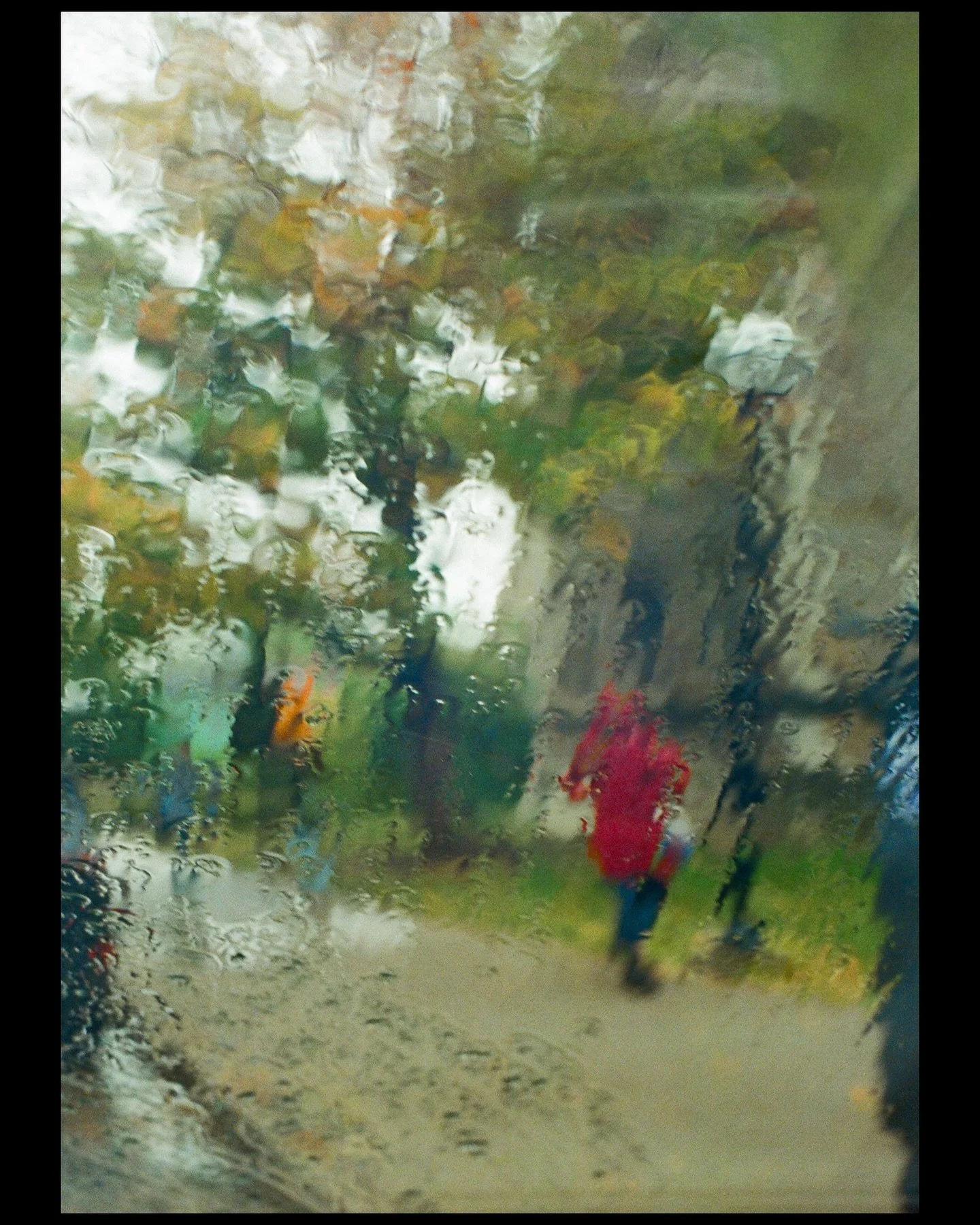 September/November

2025

Nikon N80
@nikonusa 
#madewithlightroom
#madewithkodak 

#35mm #fuji400 #gold200 #michigan