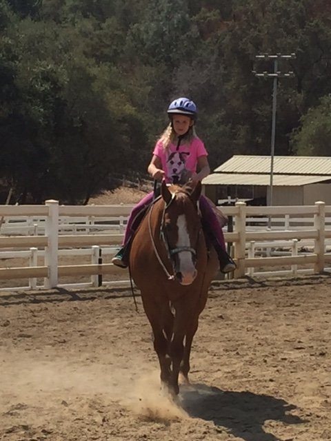 girl learning horse riding.jpg