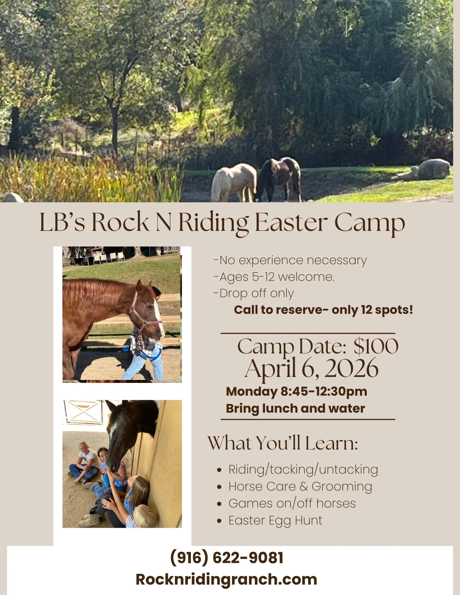 Beige and Brown Modern Horse Riding Course Flyer.JPEG