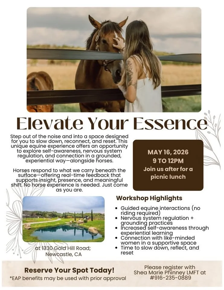 Elevate Your Essence: An Equine Experience