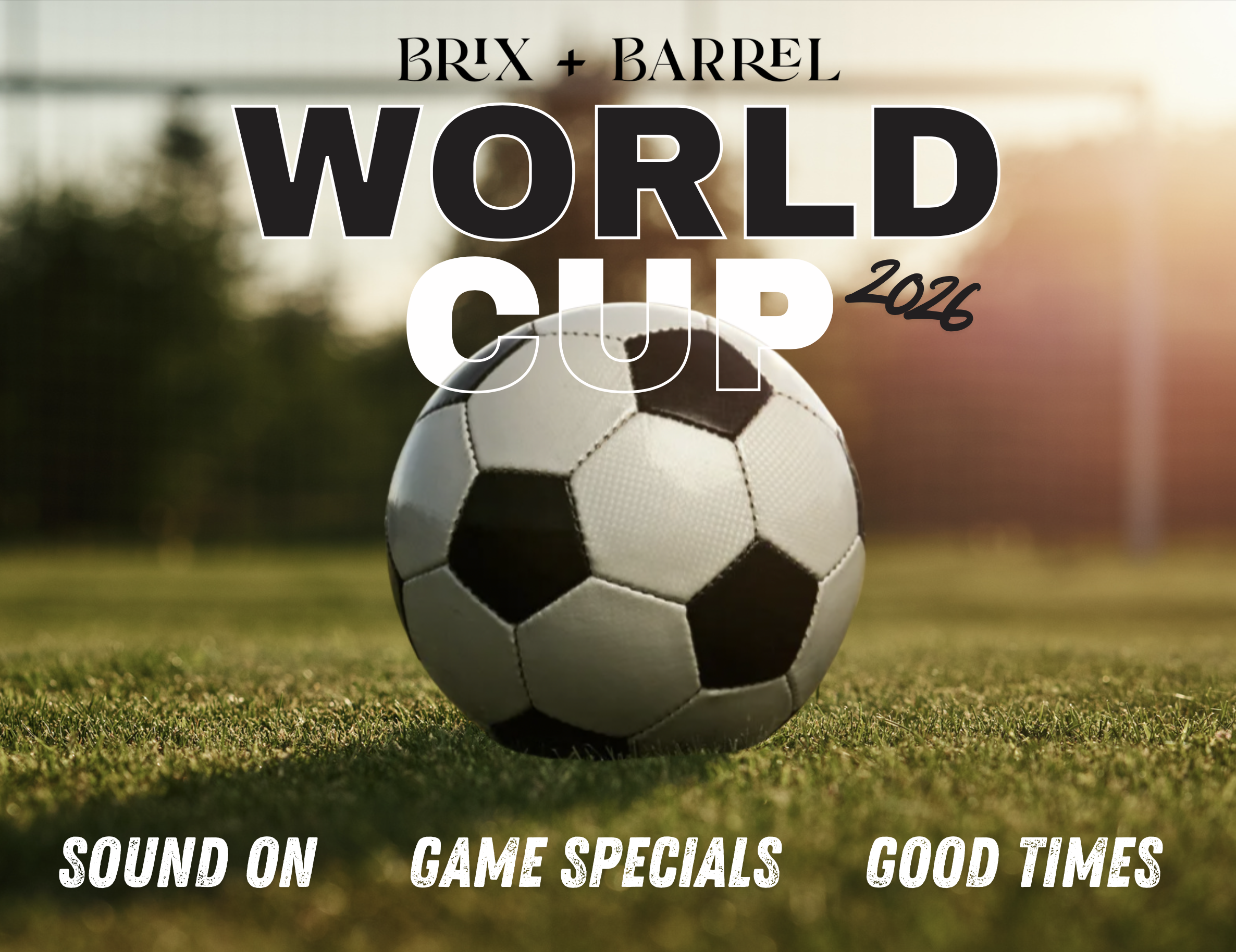 World Cup Soccer Games