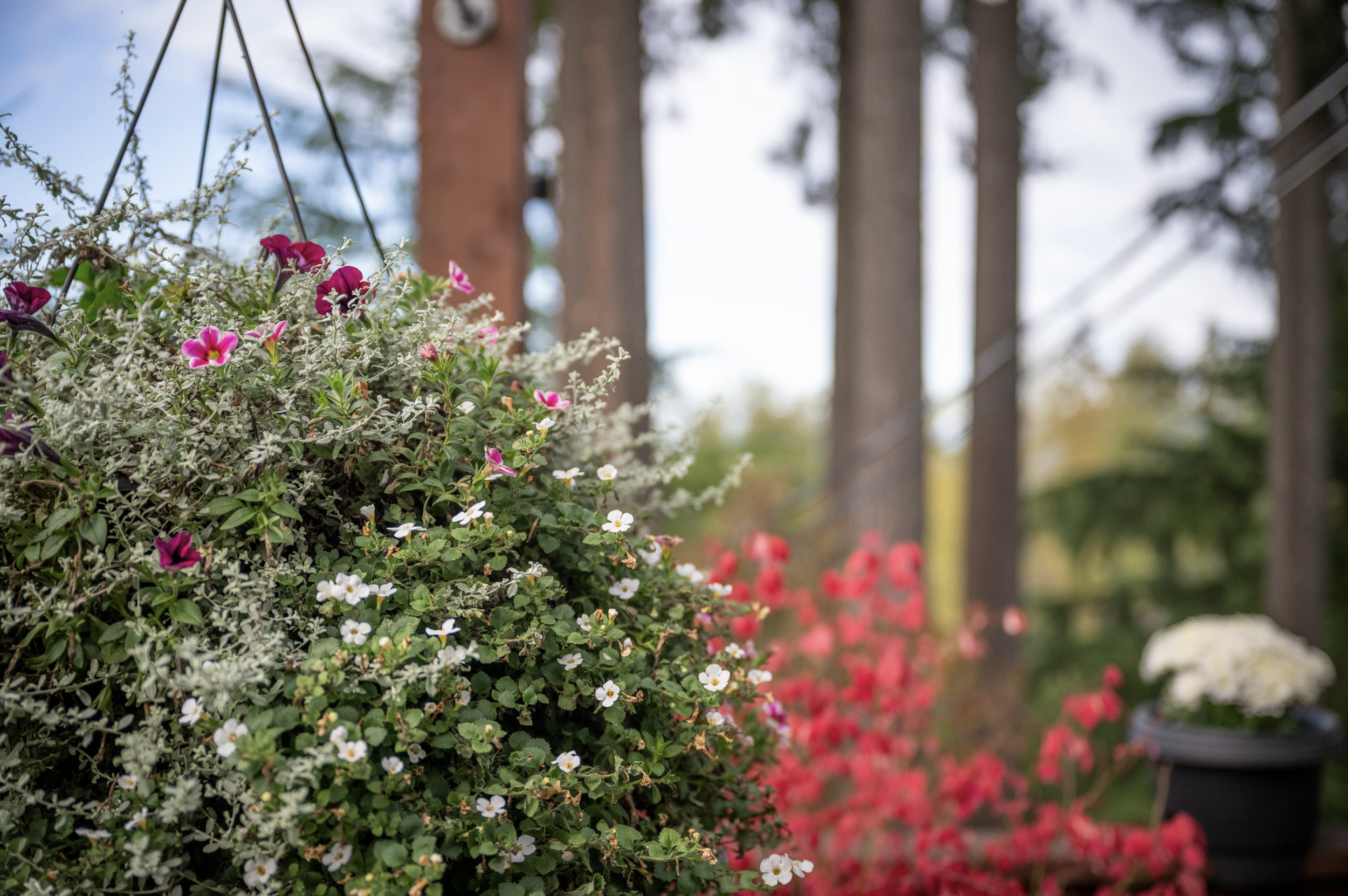 Screenshot 2025-12-10 at 9.52.40 PM.png