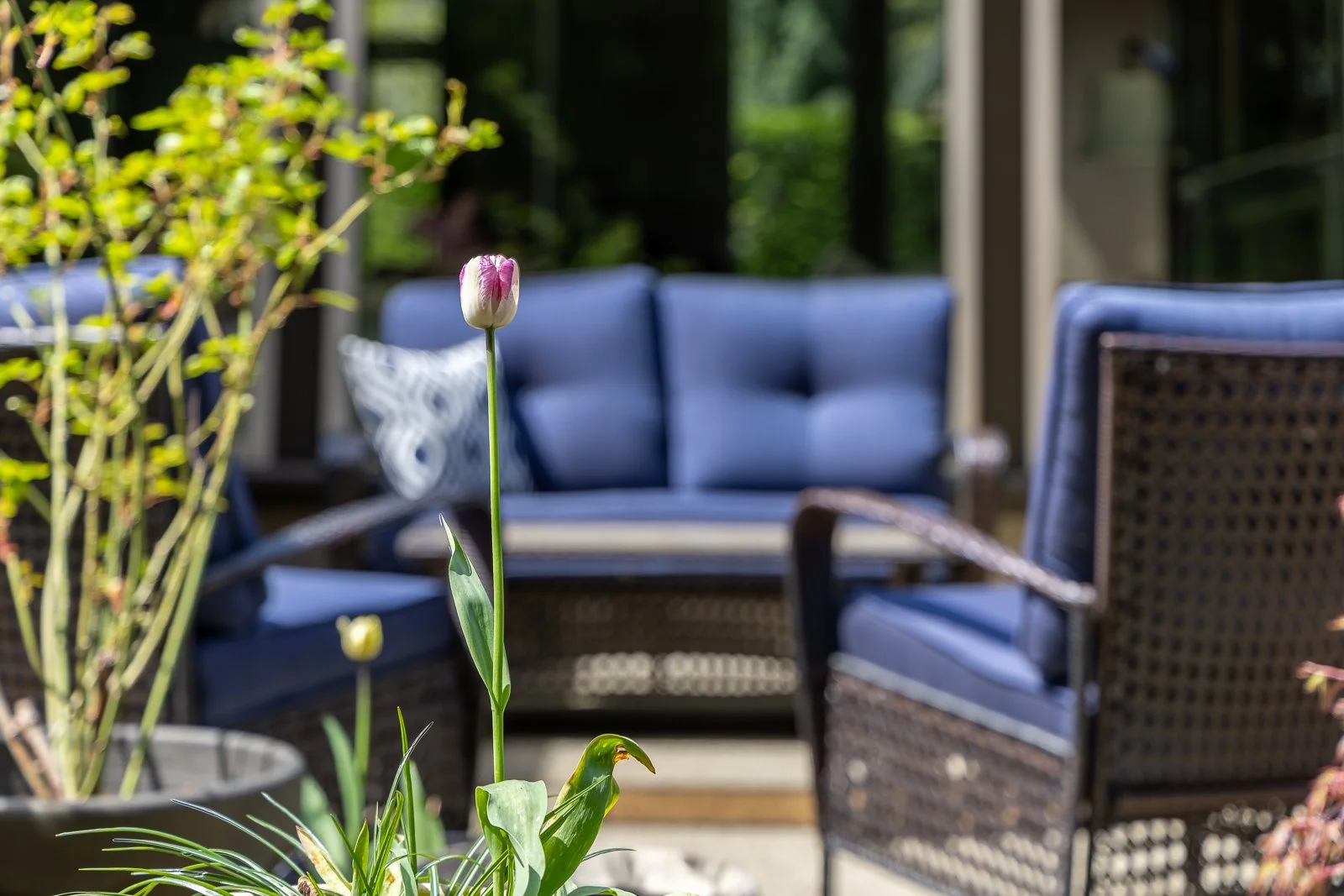 364_Parkridge_Place_1600-112.jpg