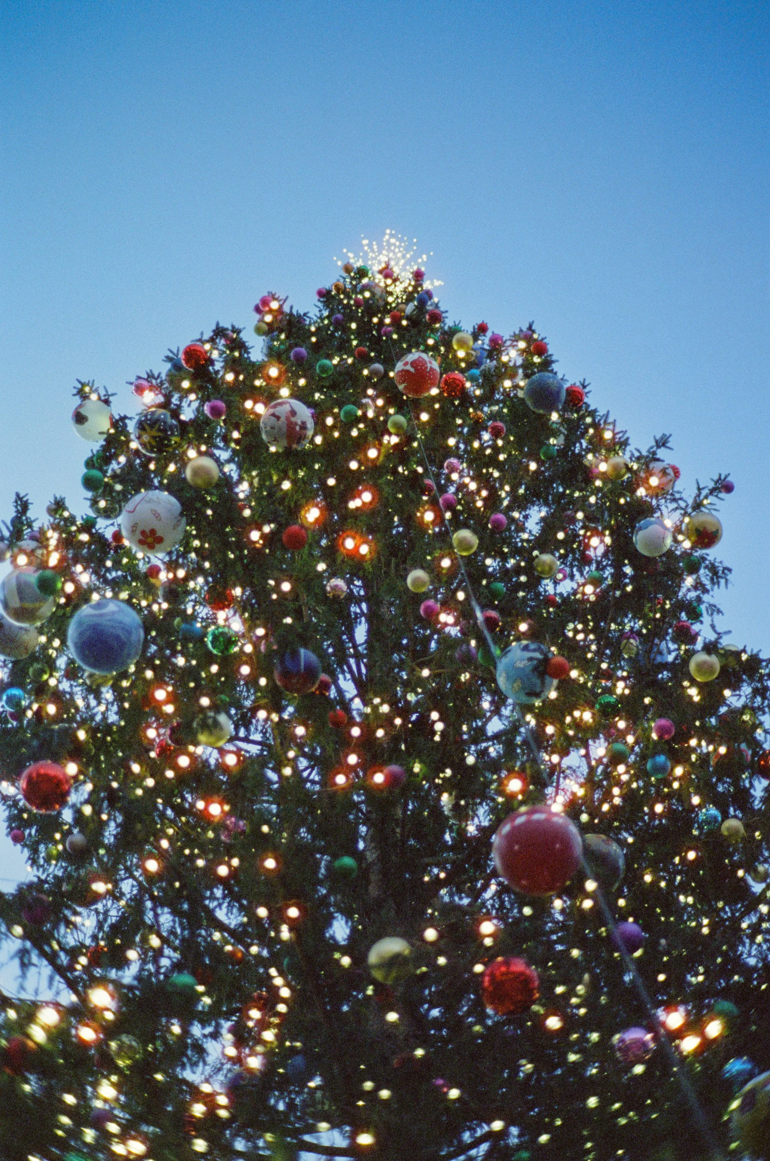 Celebrating Being Extra