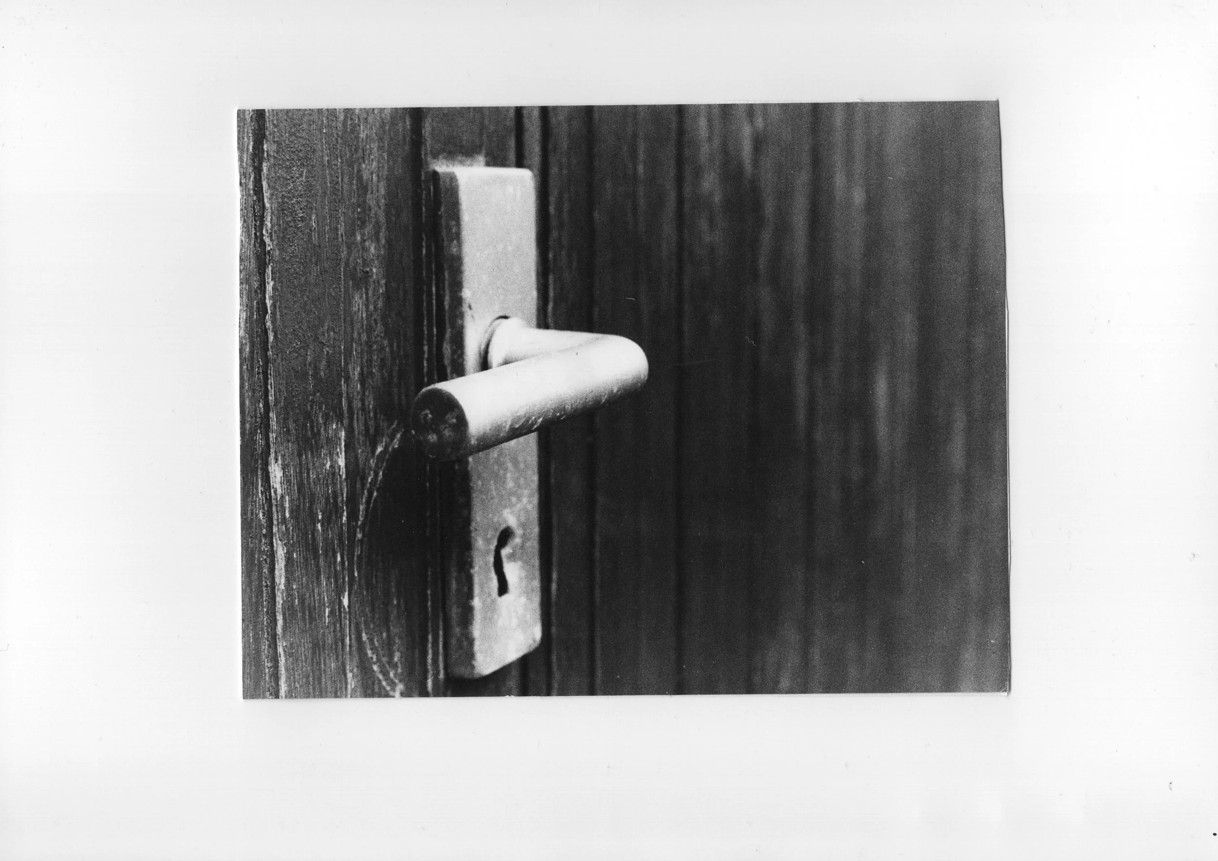 20230115-1513_001.jpeg