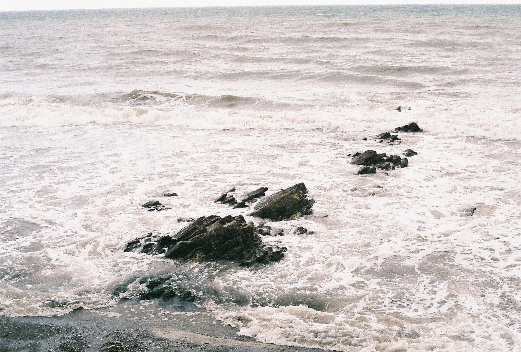 8B79430F-887B-459E-8E5E-3B30144AB334.jpeg