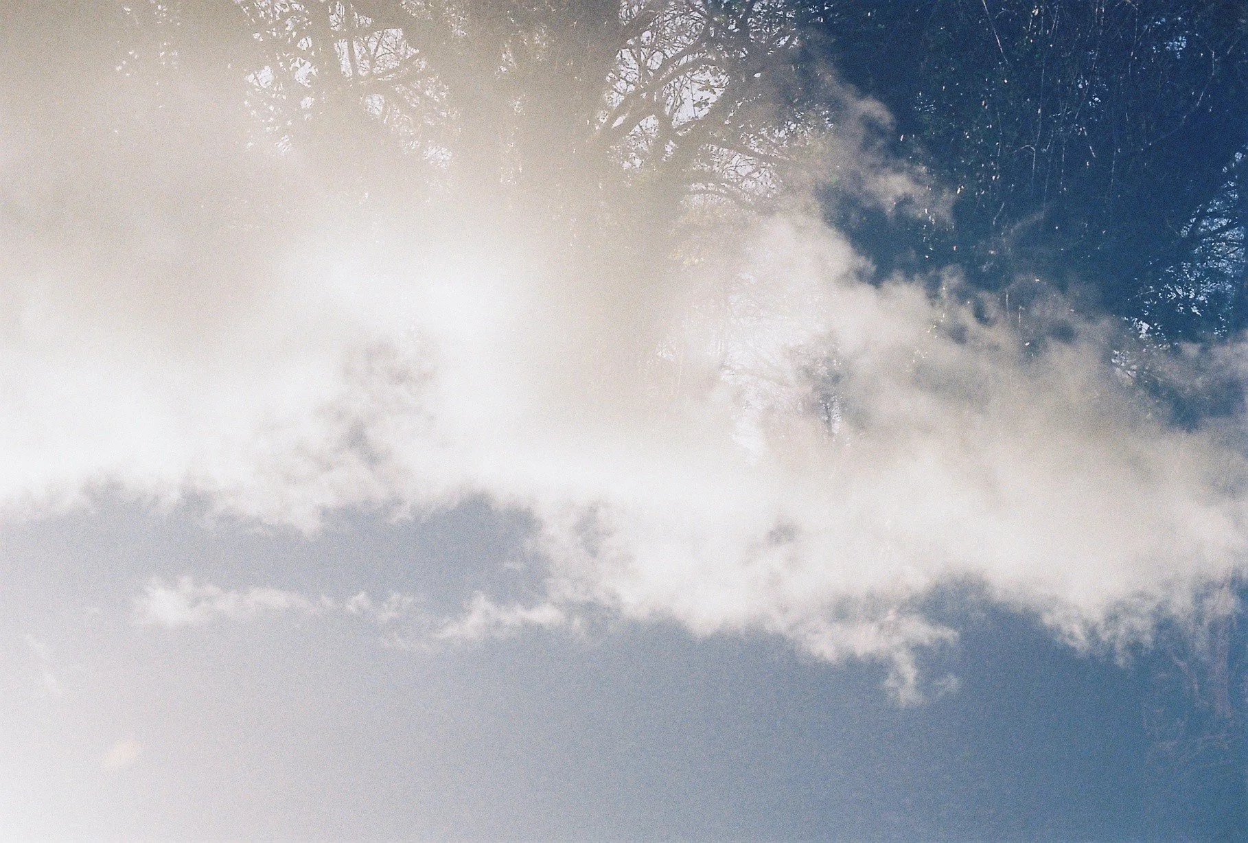 3E6CC68F-4141-49B9-B1AC-75572F51E207.jpeg