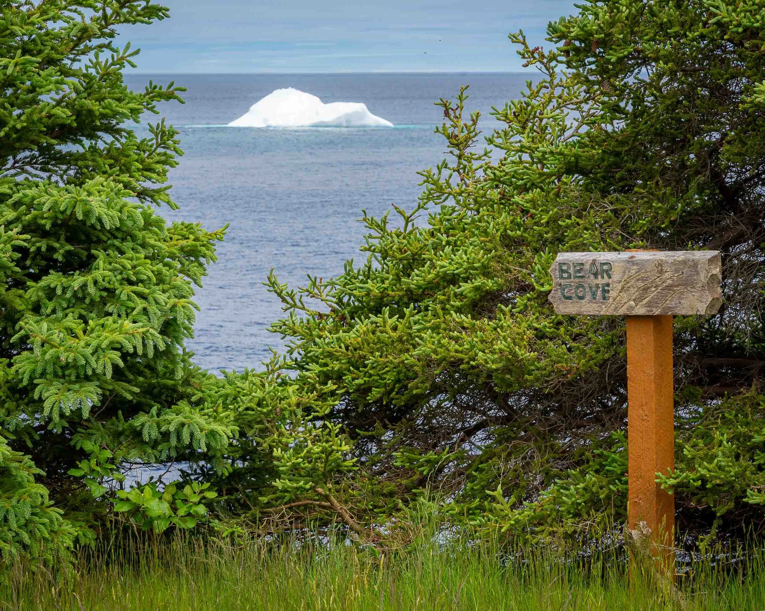 Newfoundland-29.jpg