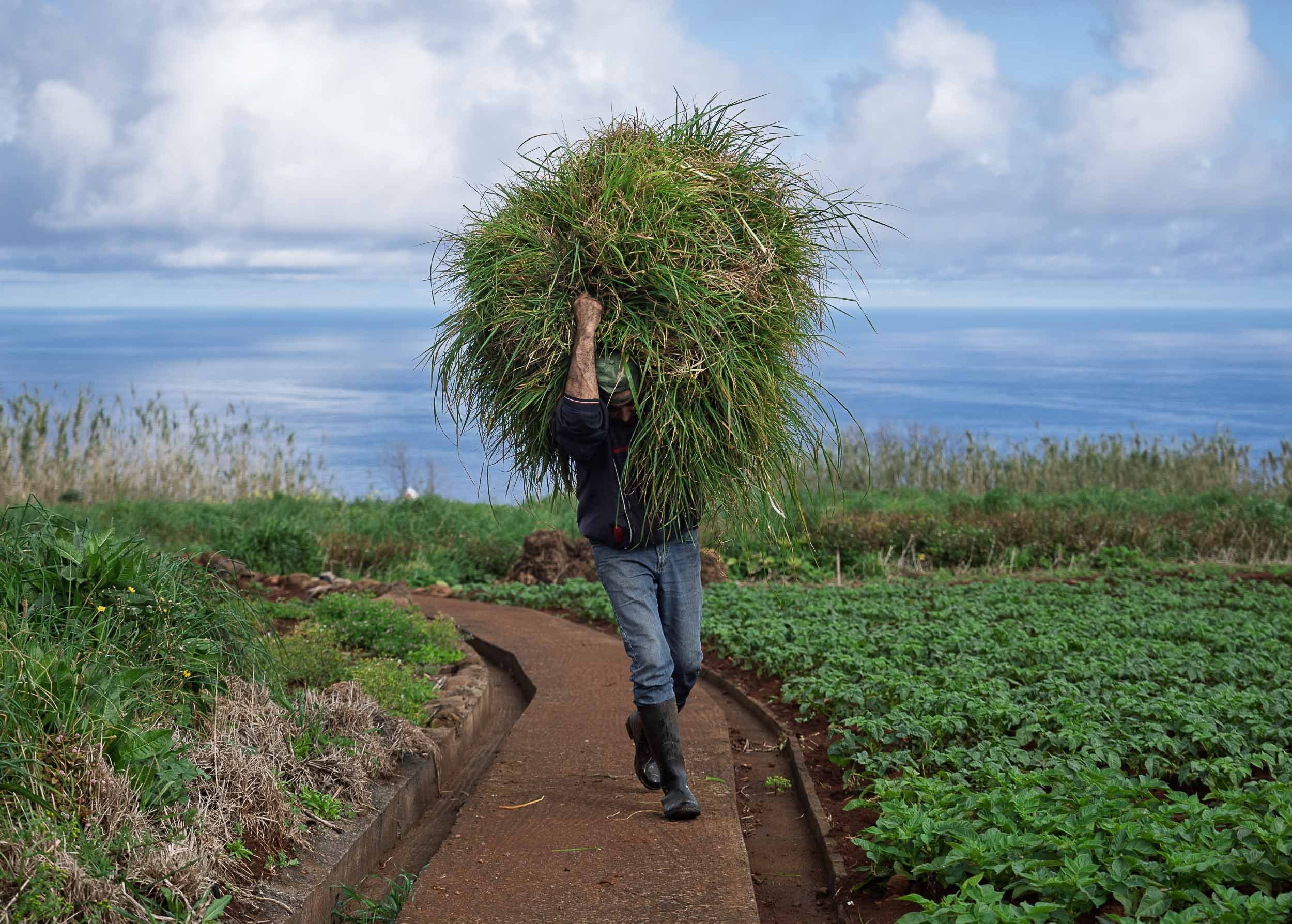 Madeira-45.jpg