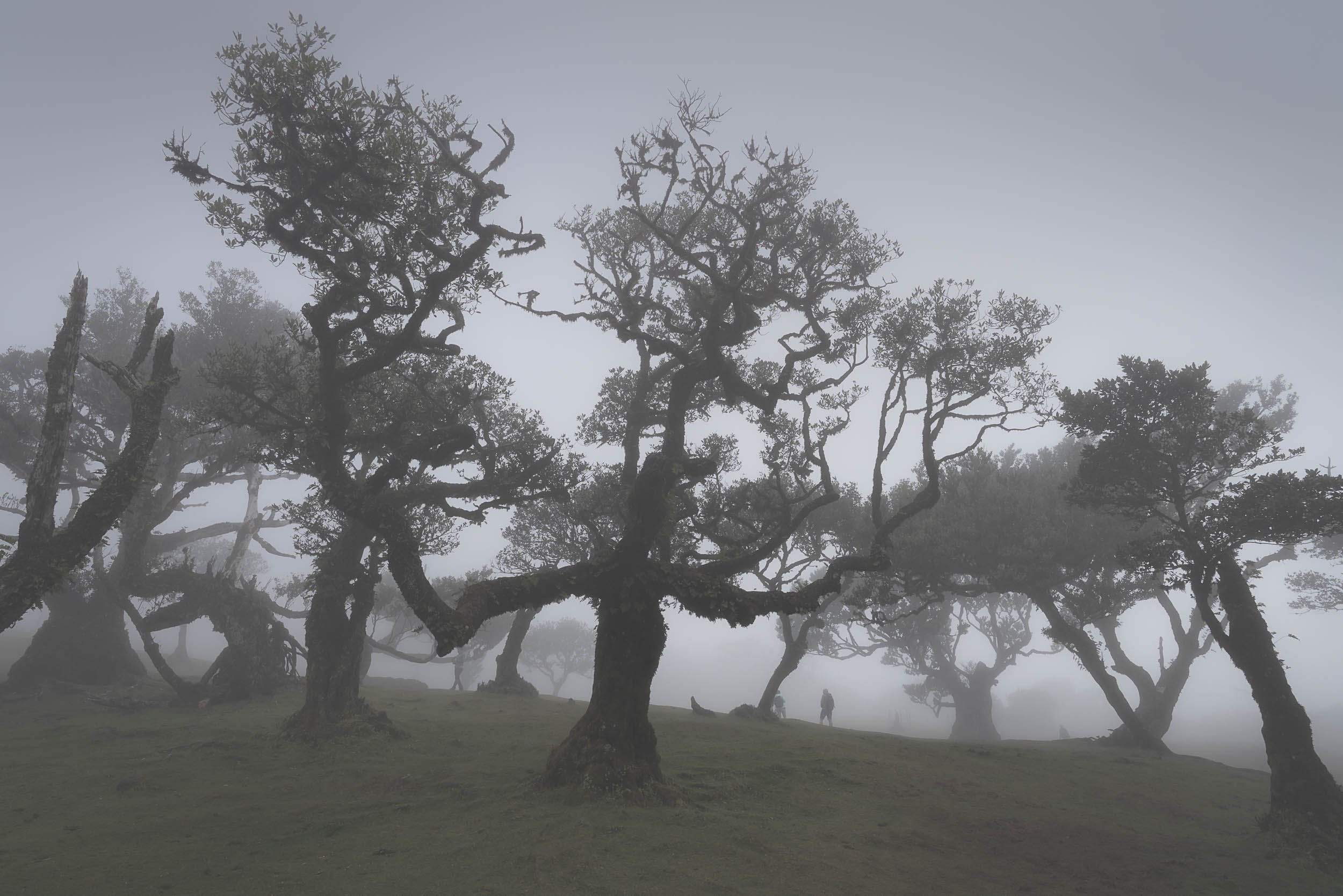 Madeira-35.jpg