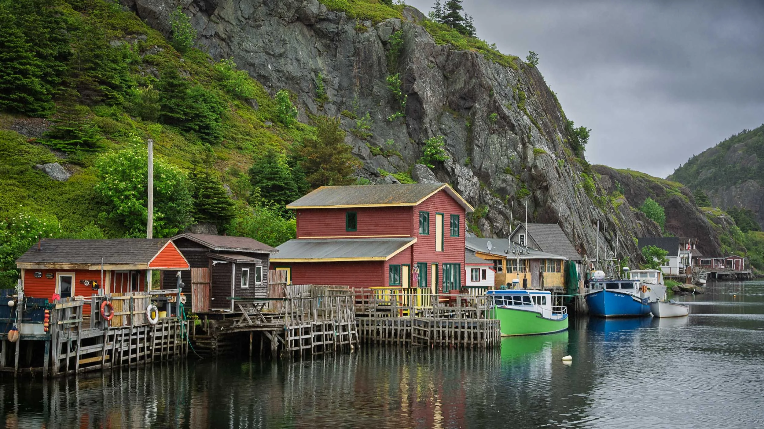 Newfoundland-8.jpg