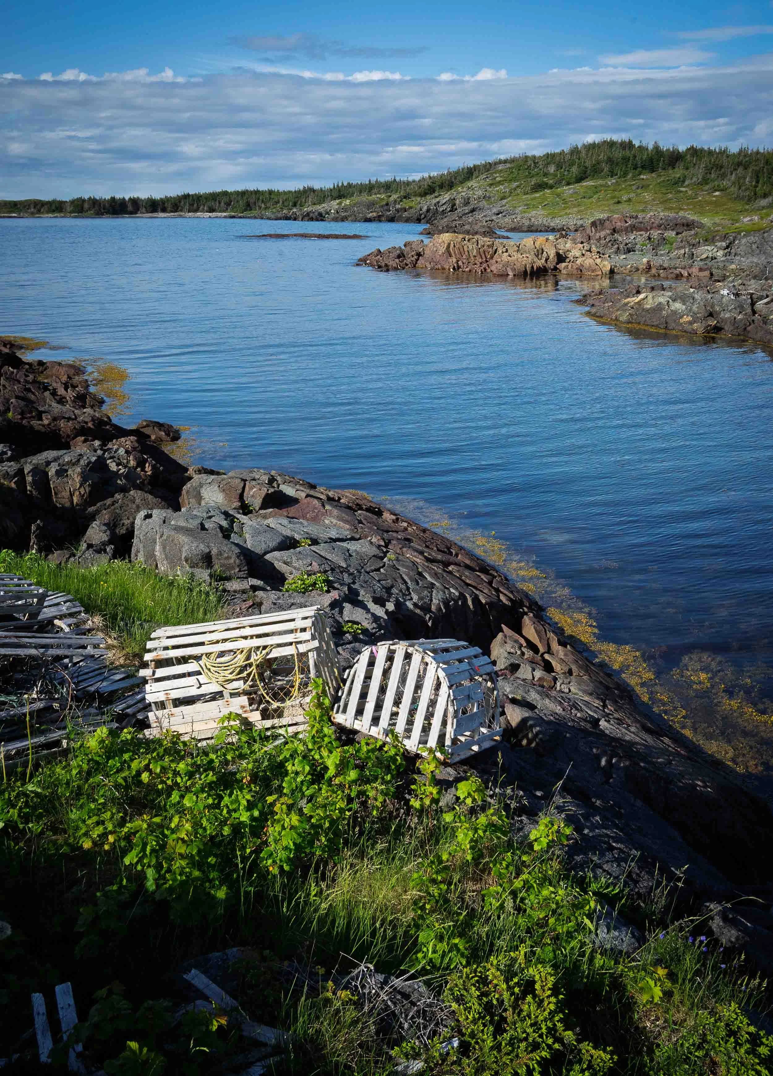 Newfoundland-94.jpg
