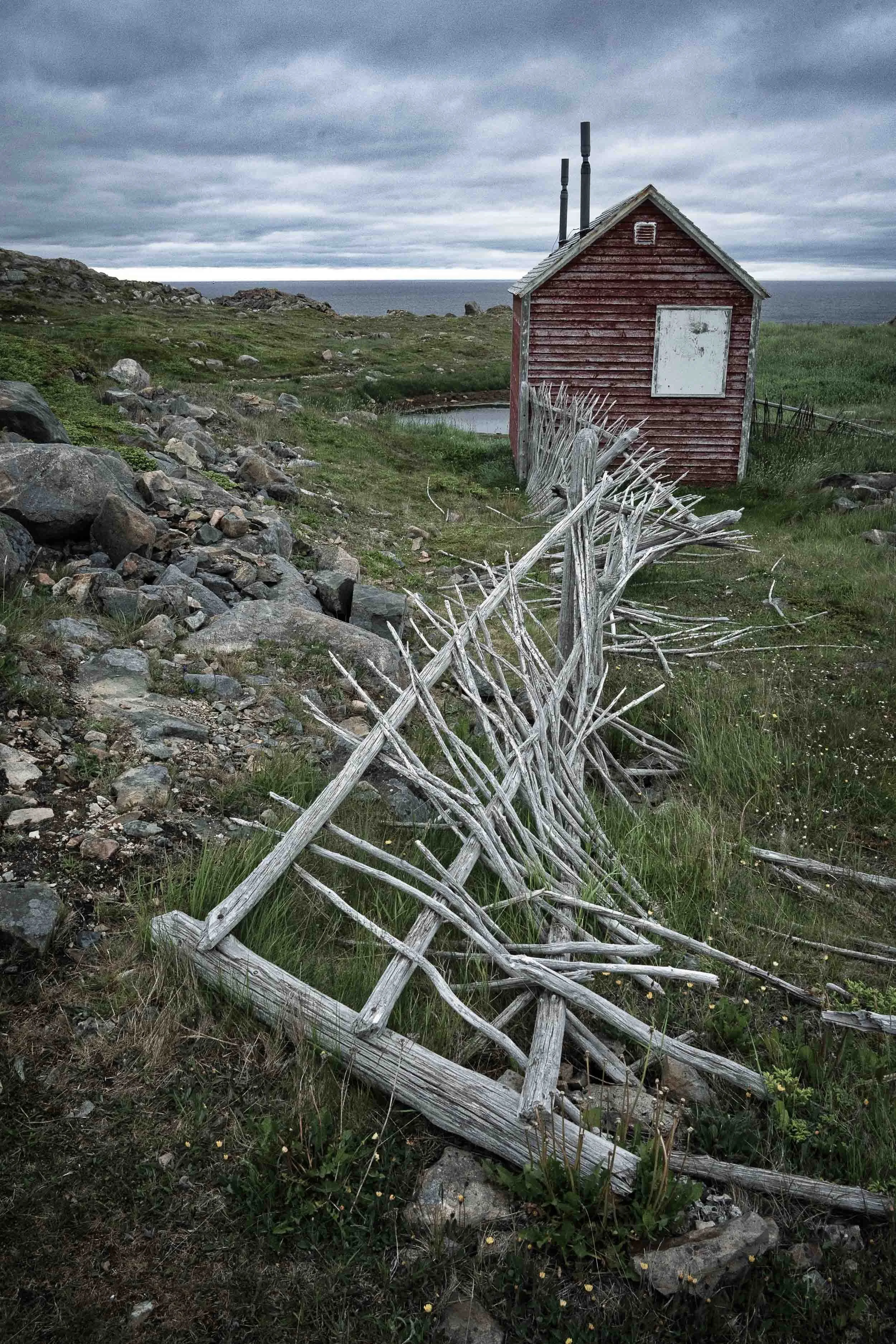 Newfoundland-66.jpg