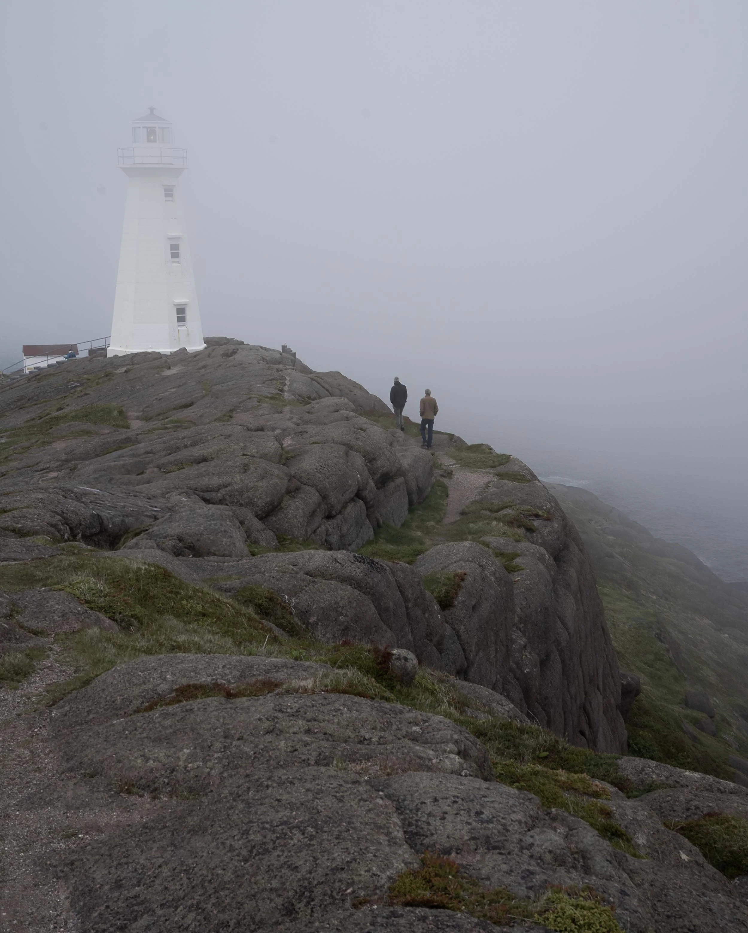 Newfoundland-11.jpg