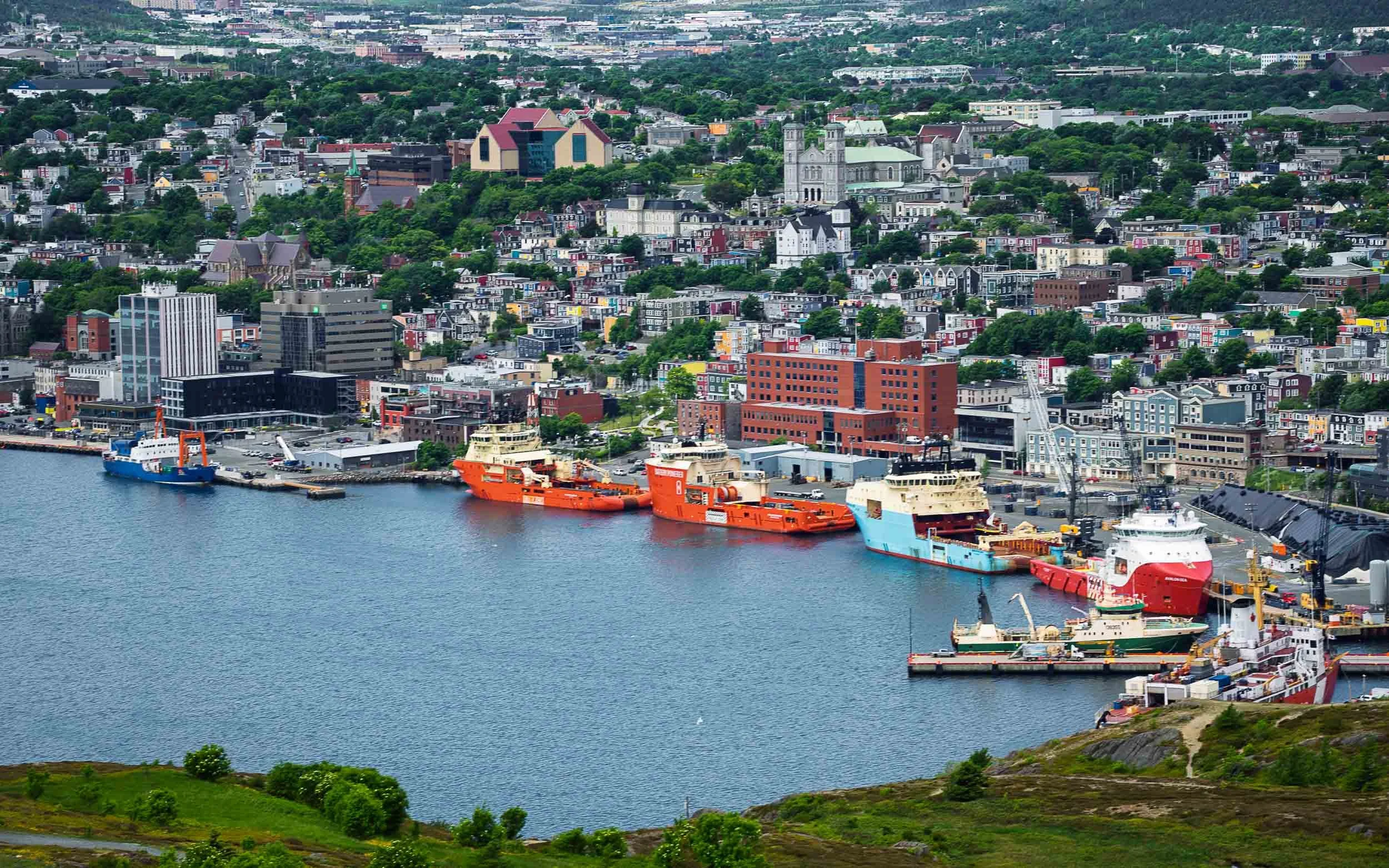 Newfoundland-6.jpg