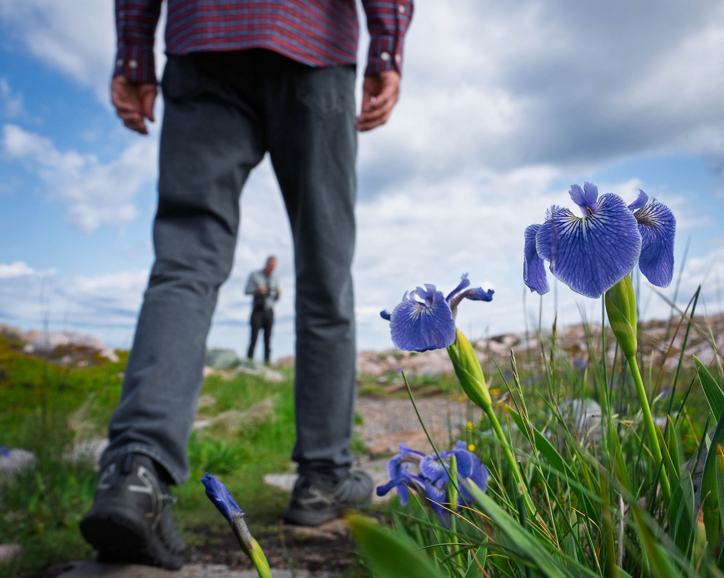 Newfoundland-75.jpg