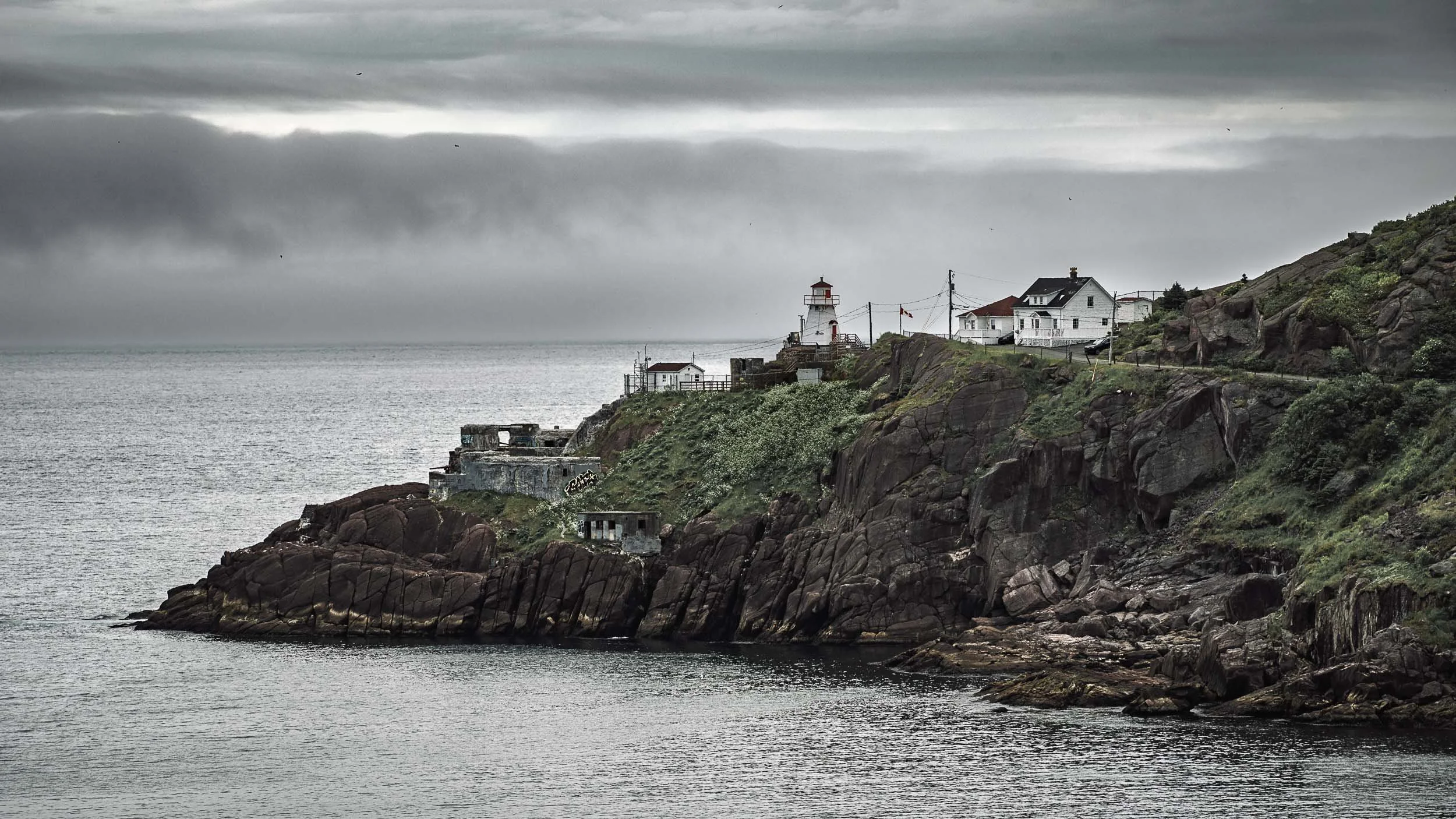 Newfoundland-3.jpg