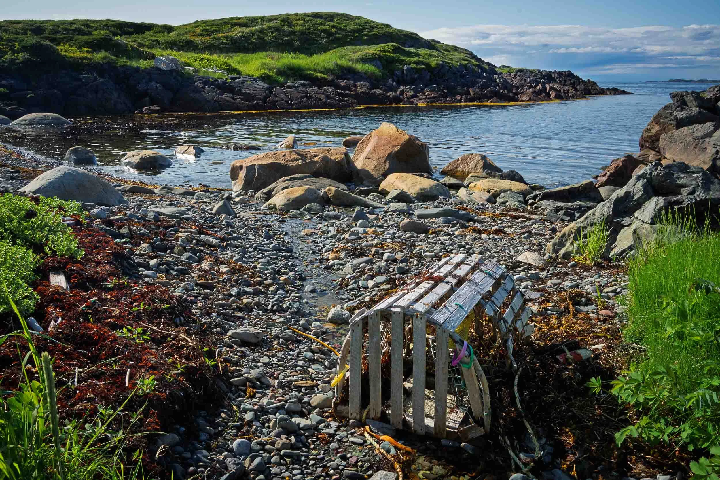 Newfoundland-93.jpg