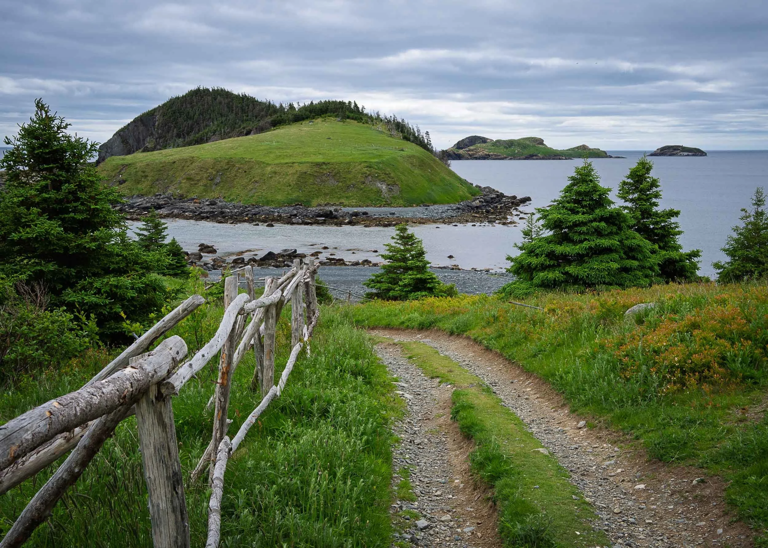 Newfoundland-28.jpg