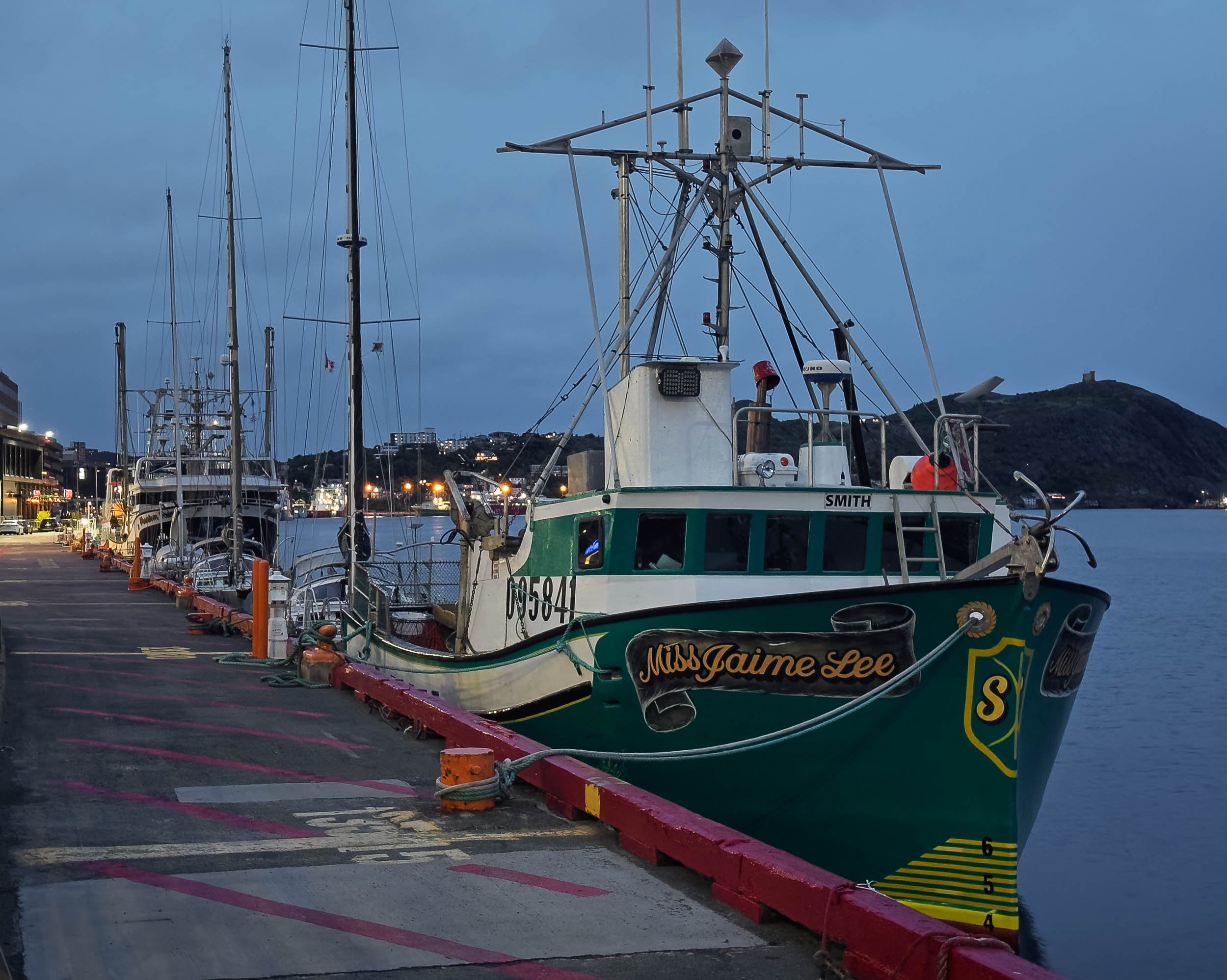 Newfoundland-1.jpg