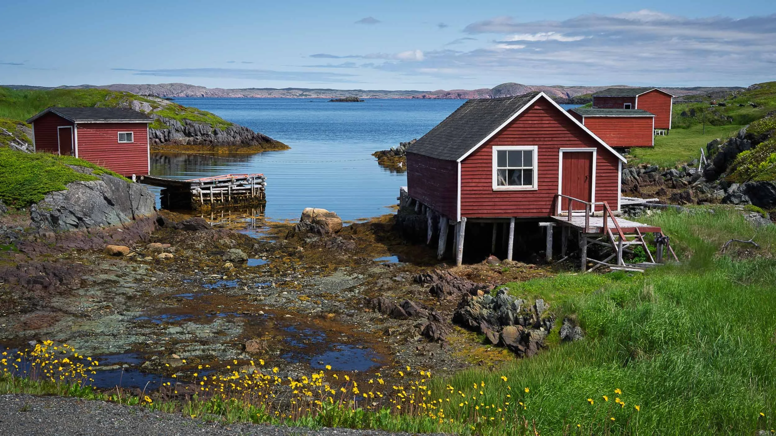 Newfoundland-90.jpg