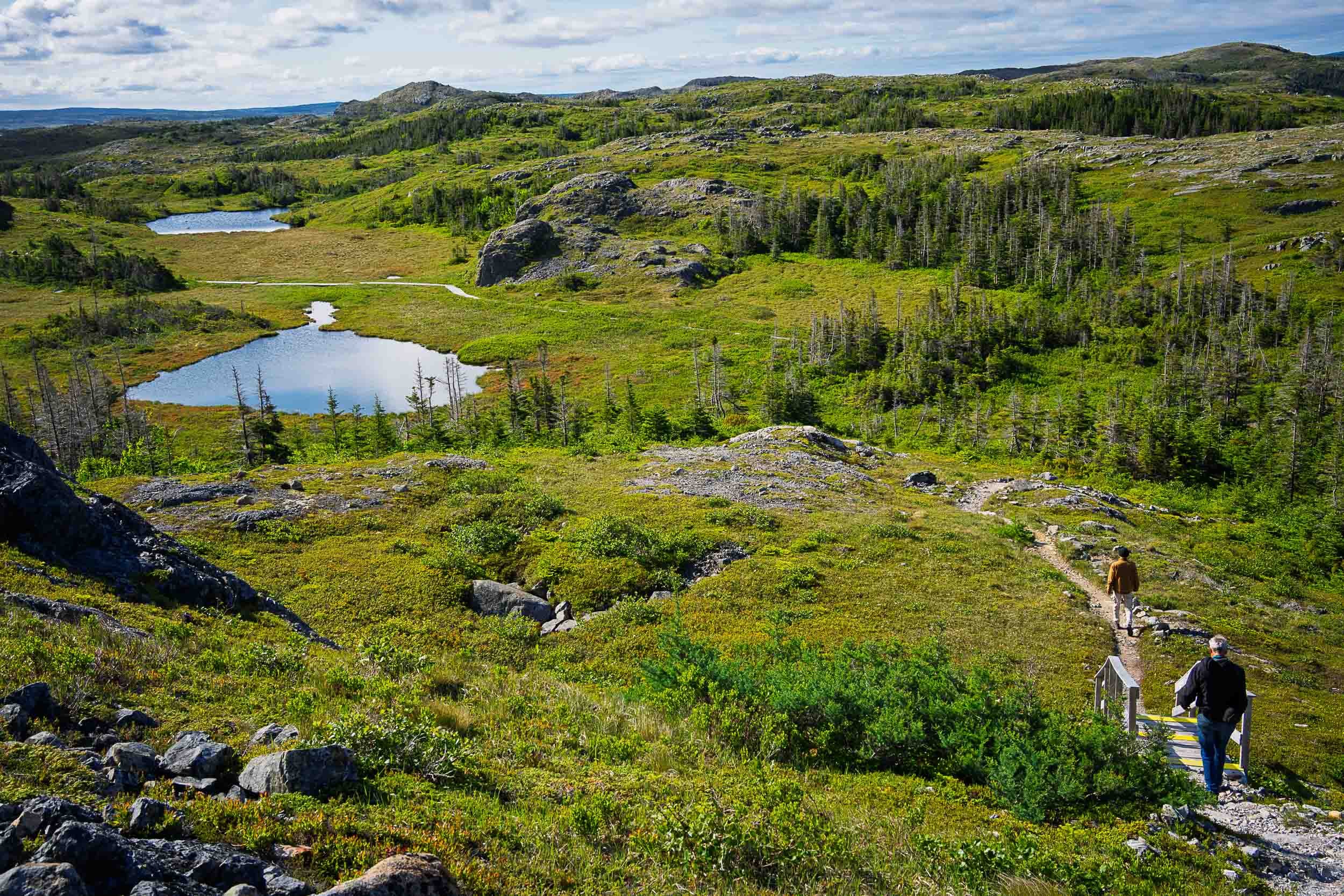 Newfoundland-88.jpg