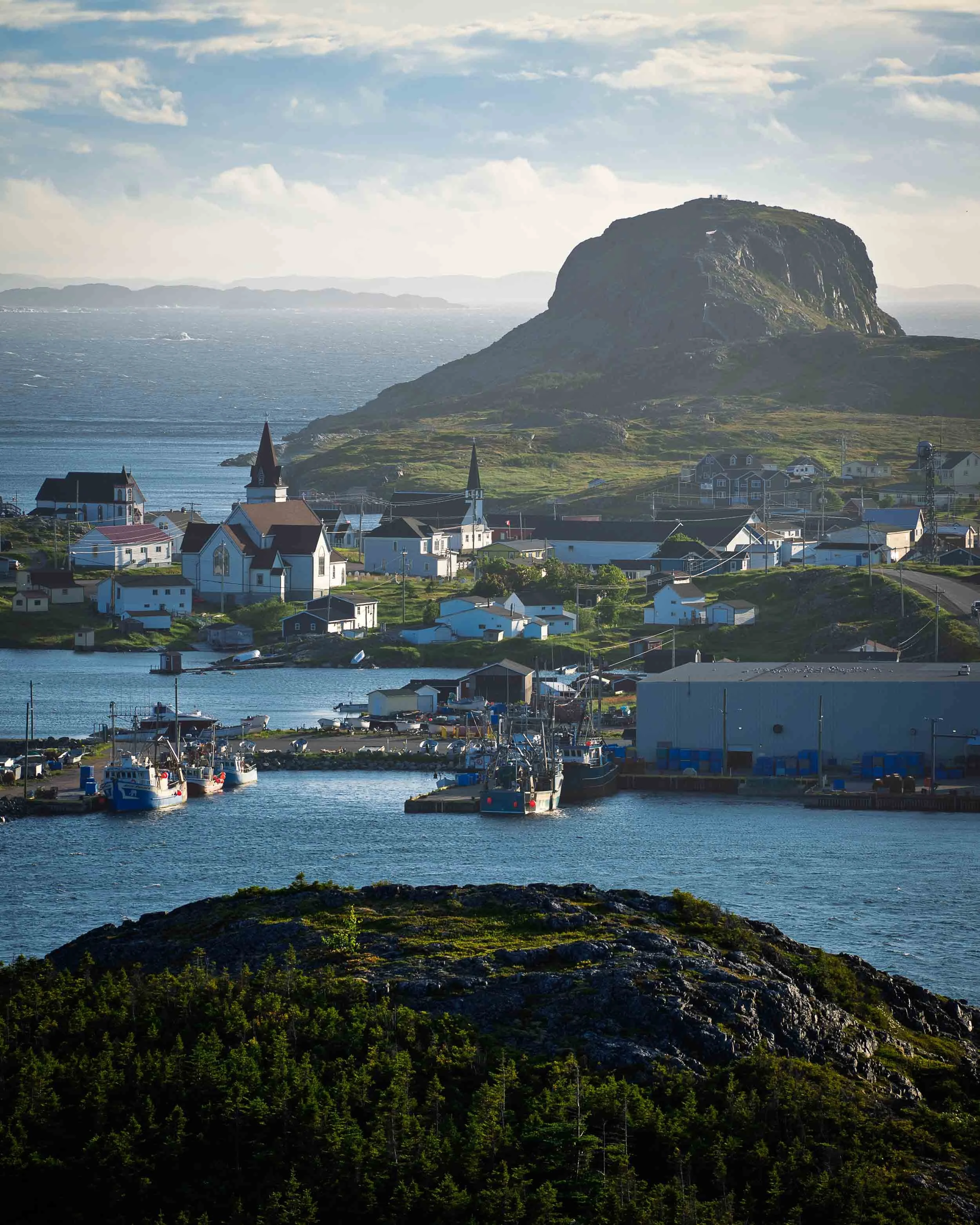 Newfoundland-86.jpg