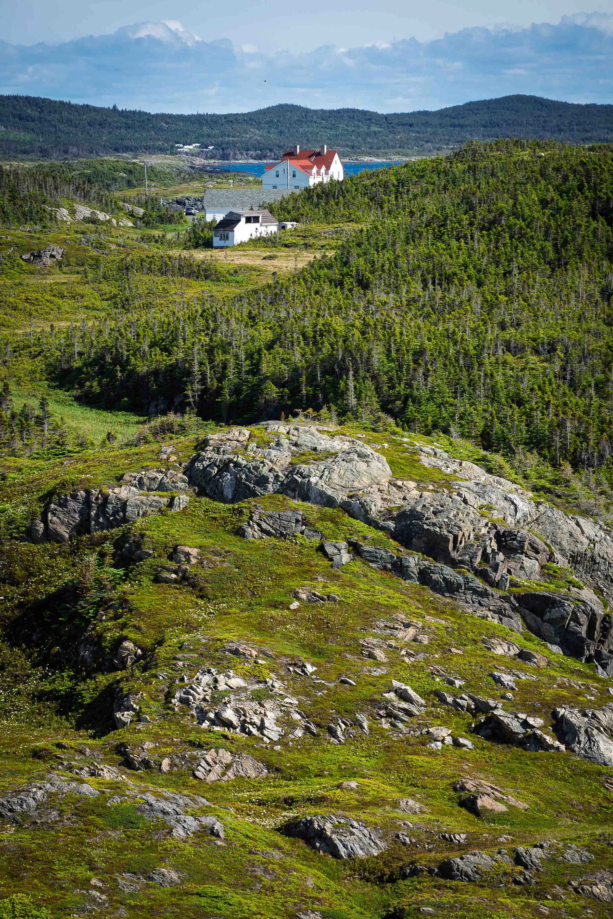 Newfoundland-105.jpg