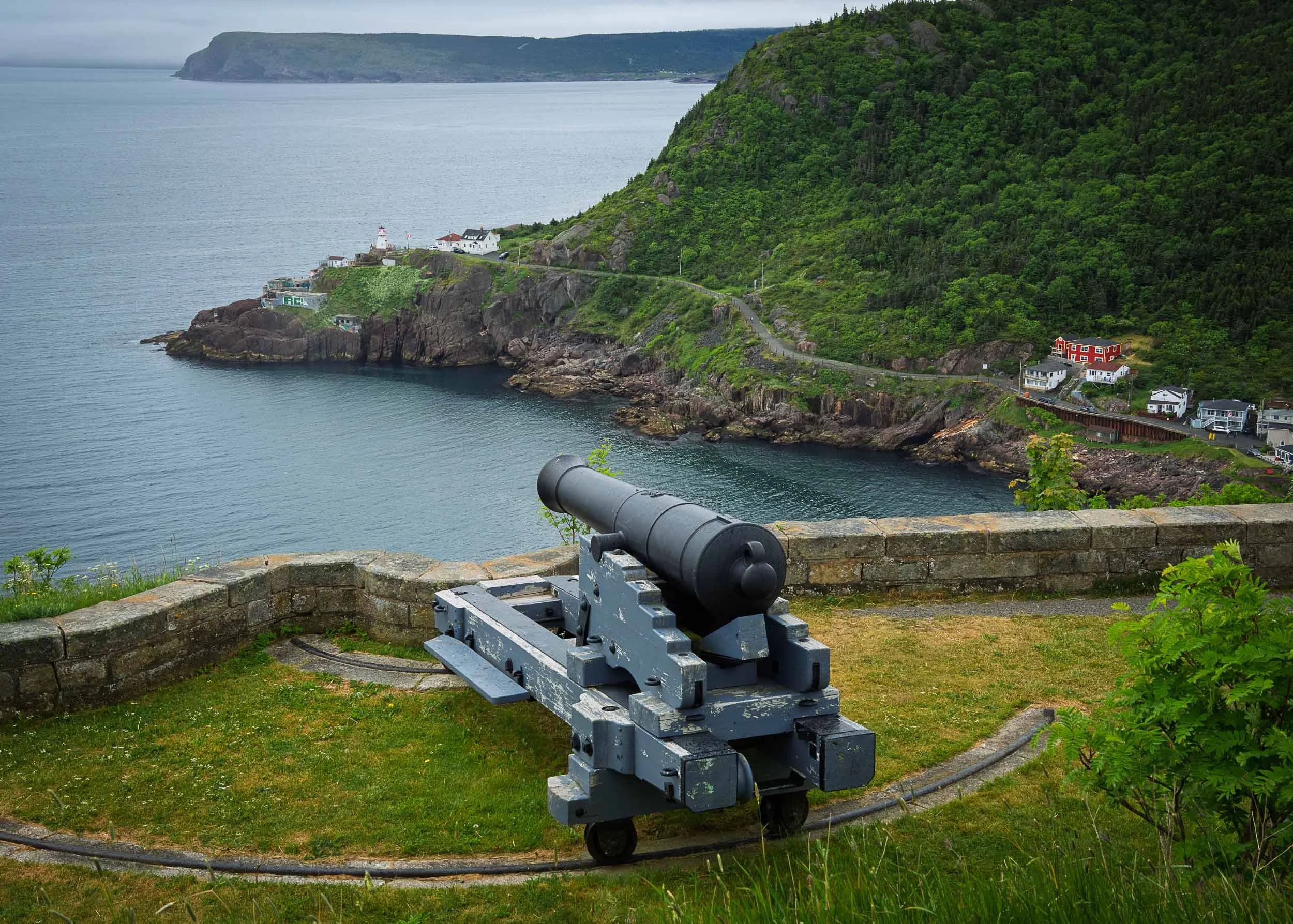Newfoundland-4.jpg