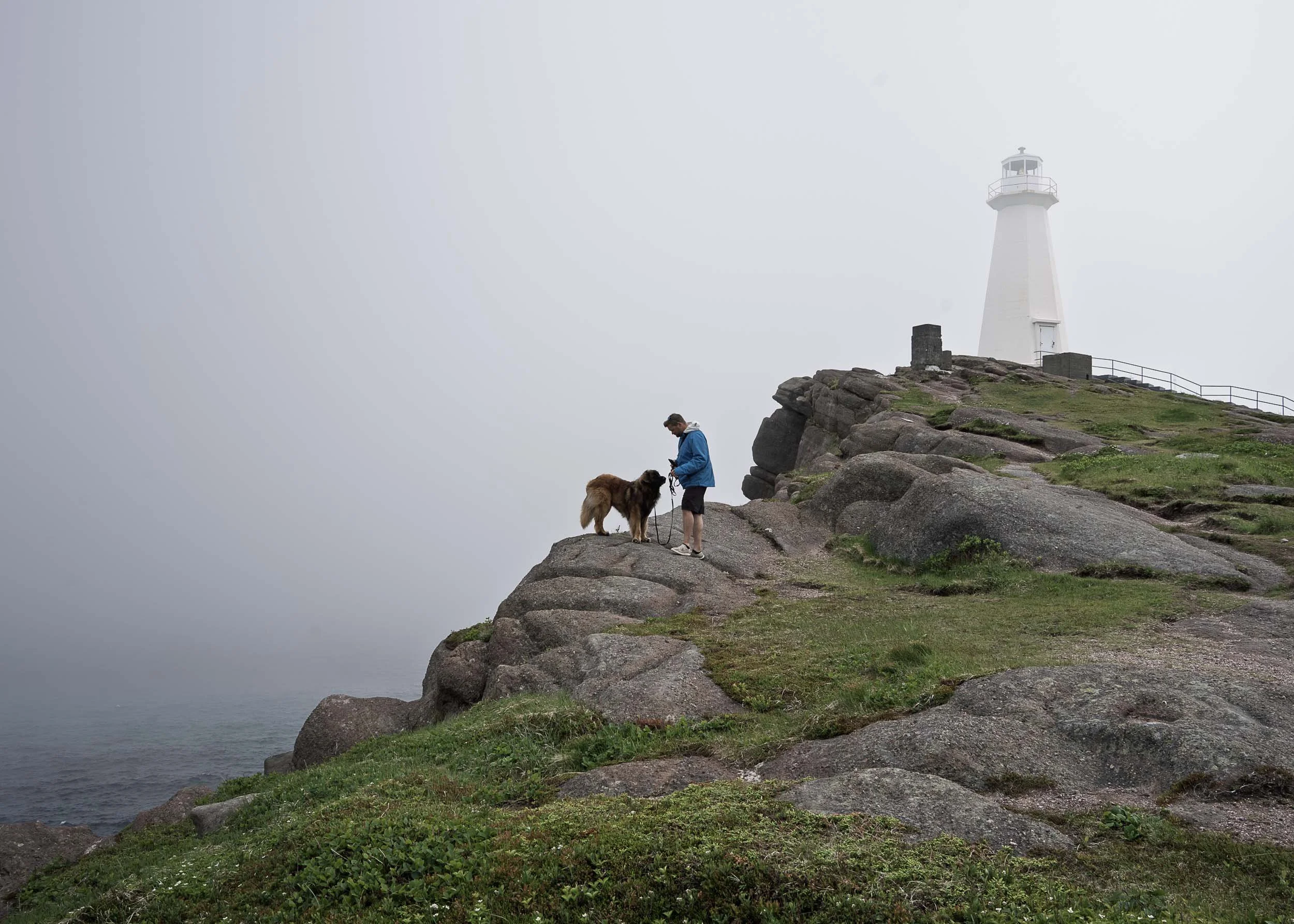 Newfoundland-12.jpg