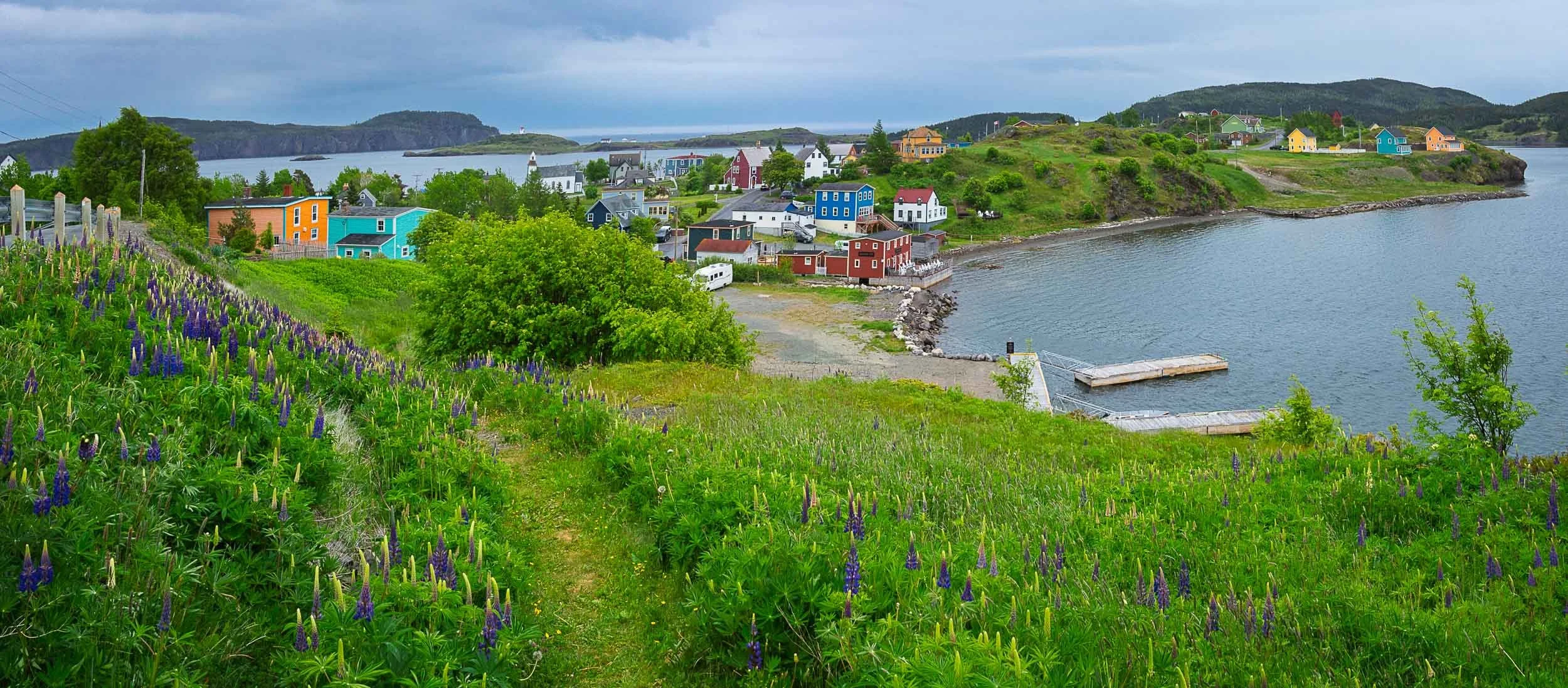 Newfoundland-57.jpg