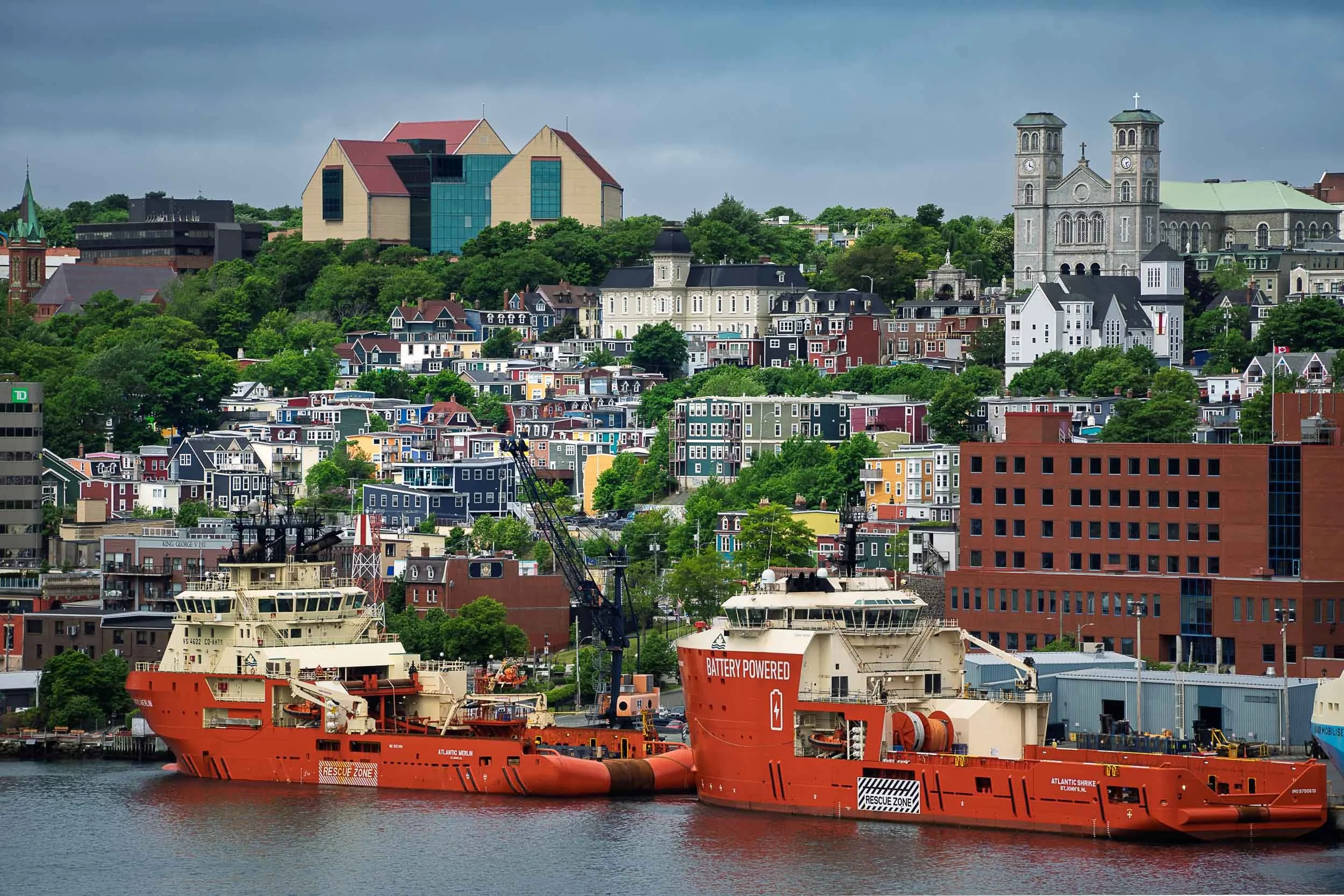 Newfoundland-2.jpg